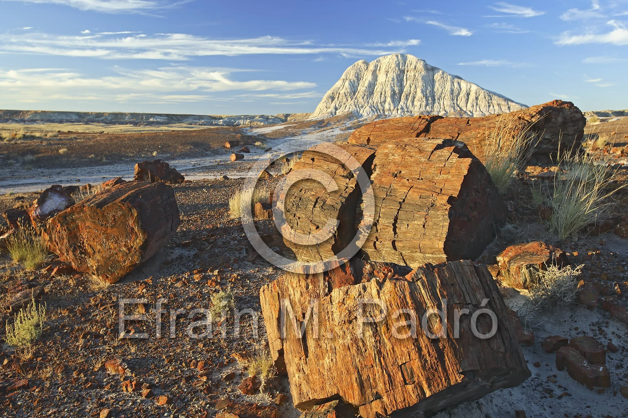 Petrified wood and badlands, Long Logs Trail, Petrified Forest National Park, Arizona