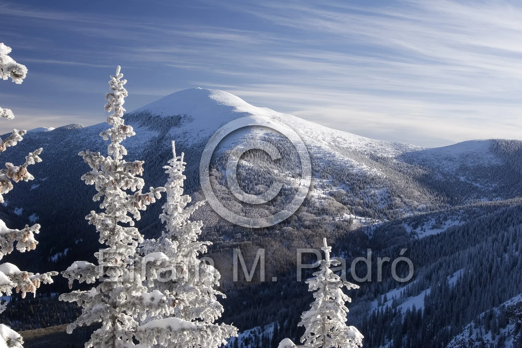 Snow covered trees & Santa Fe Baldy (12,622 ft.) from Ravens Ridge Trail, Santa Fe National Forest, New Mexico