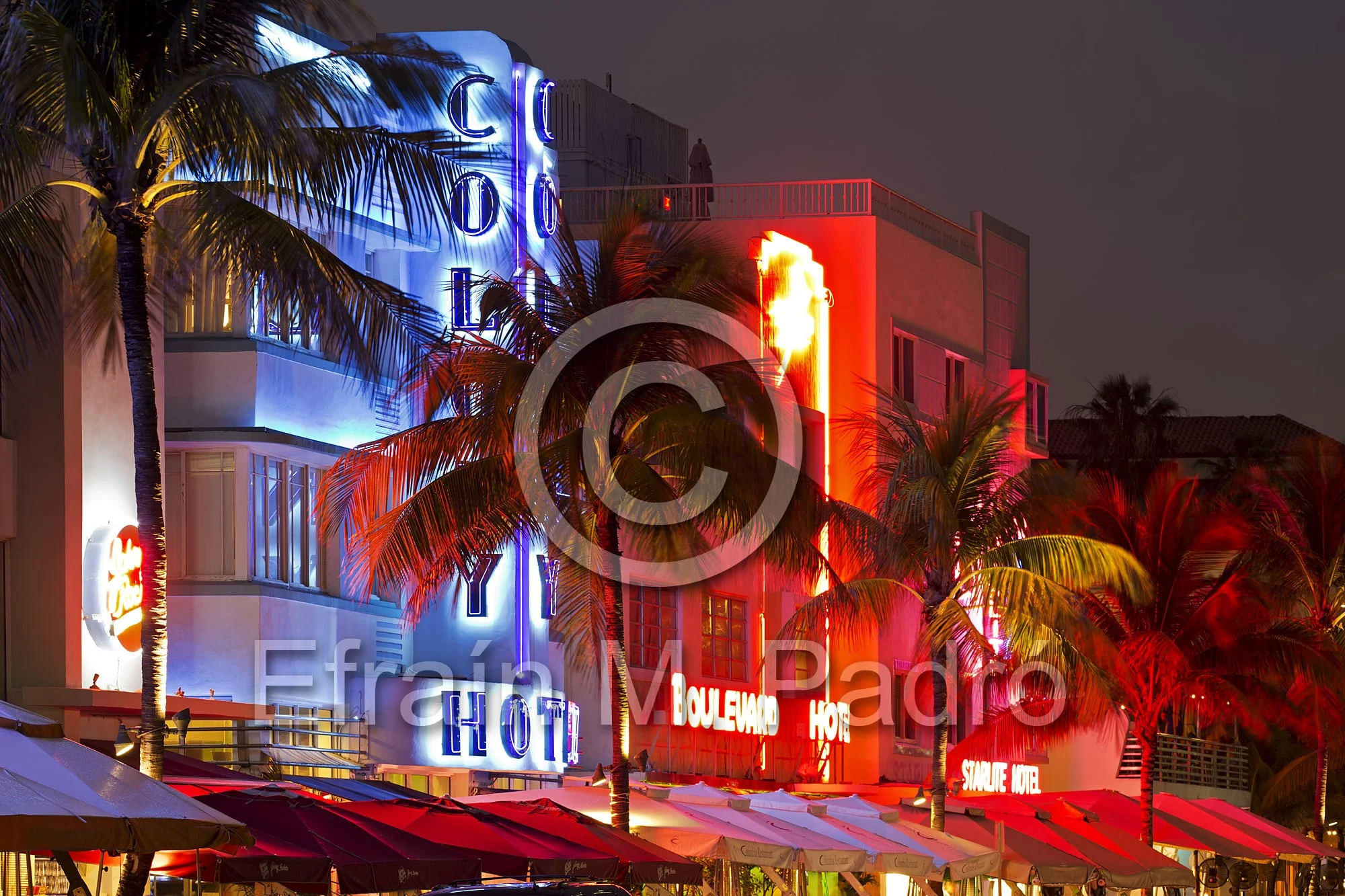 Row of hotels, Colony Hotel, South Beach, Miami Beach, Florida