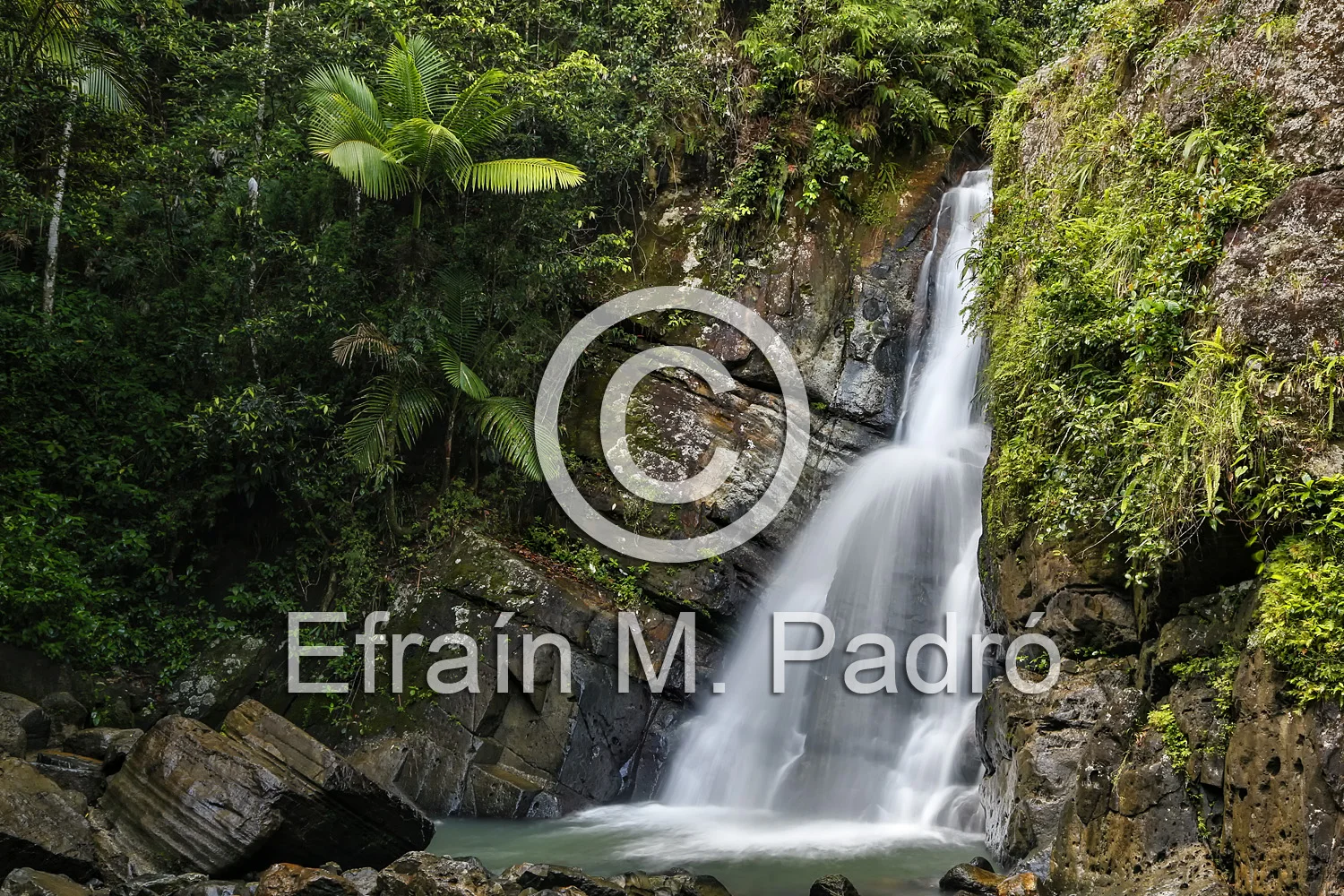 La Mina Waterfalls, Caribbean National Forest (El Yunque Rain Forest), Puerto Rico