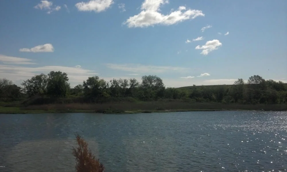 20190507165045677214000000-o.jpg