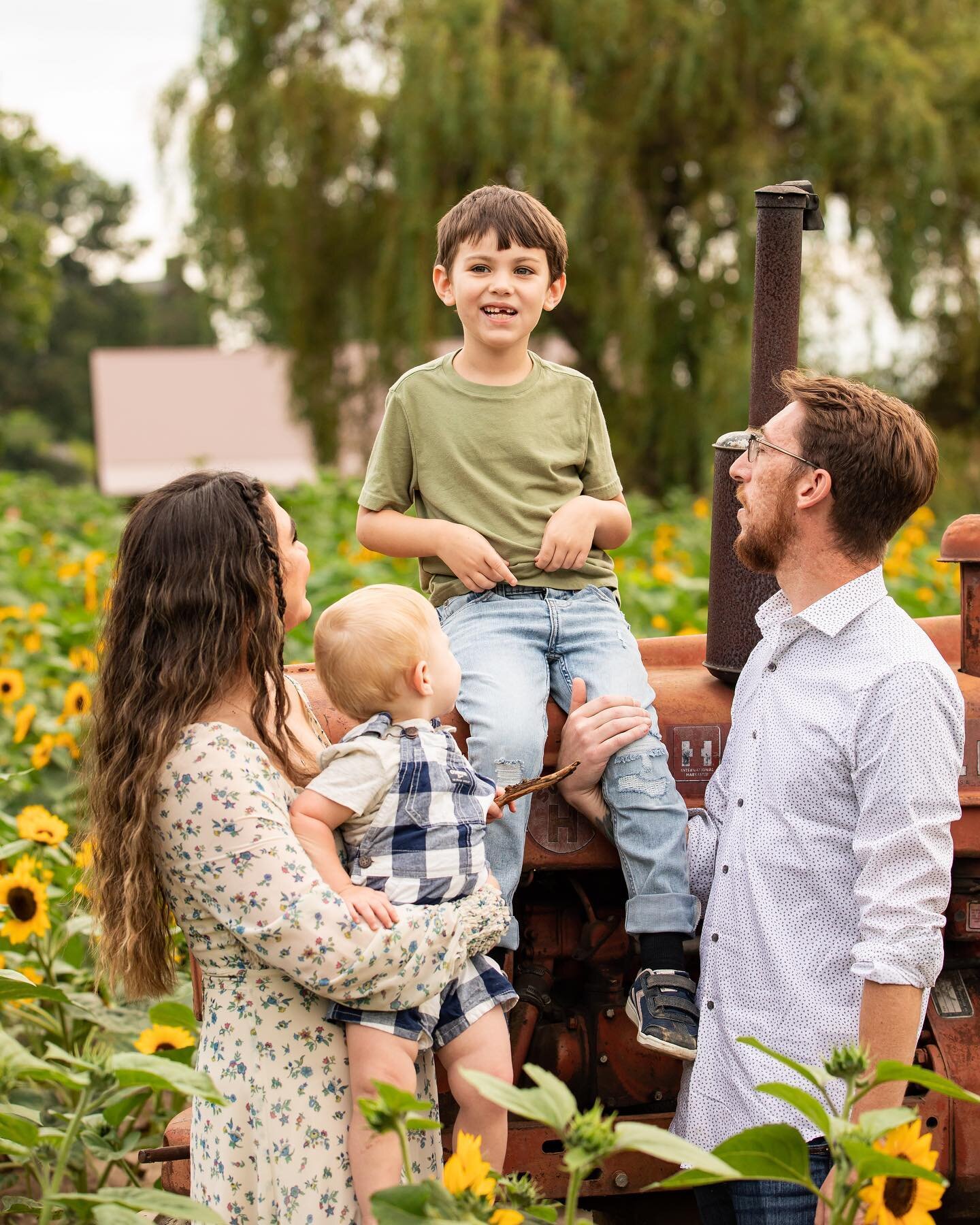 From our family sunflower 🌻 shoot with @ashleynizolekphotography the other day!!! I&rsquo;m obsessed!! 😍❤️&zwj;🔥 Thank you so much Ashley for capturing my chaotic but beautiful family ✨🌻 @libertyridgefarmweddings dress: @renttherunway