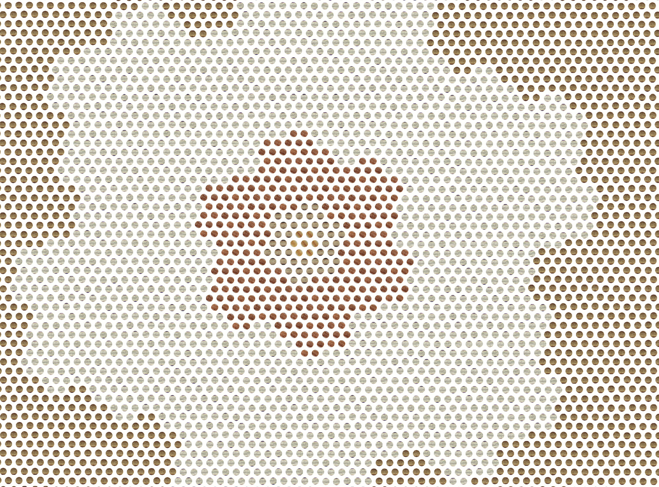 Hair on Human Head close up