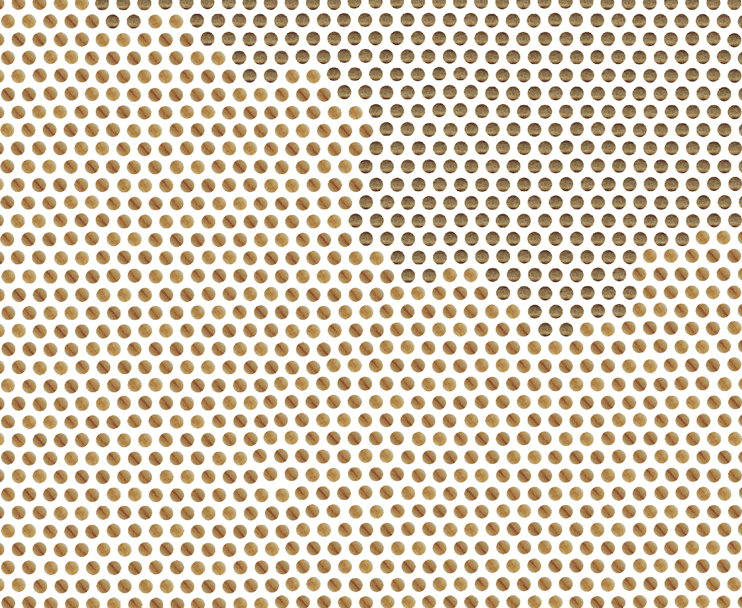 Hair on Human Head close up