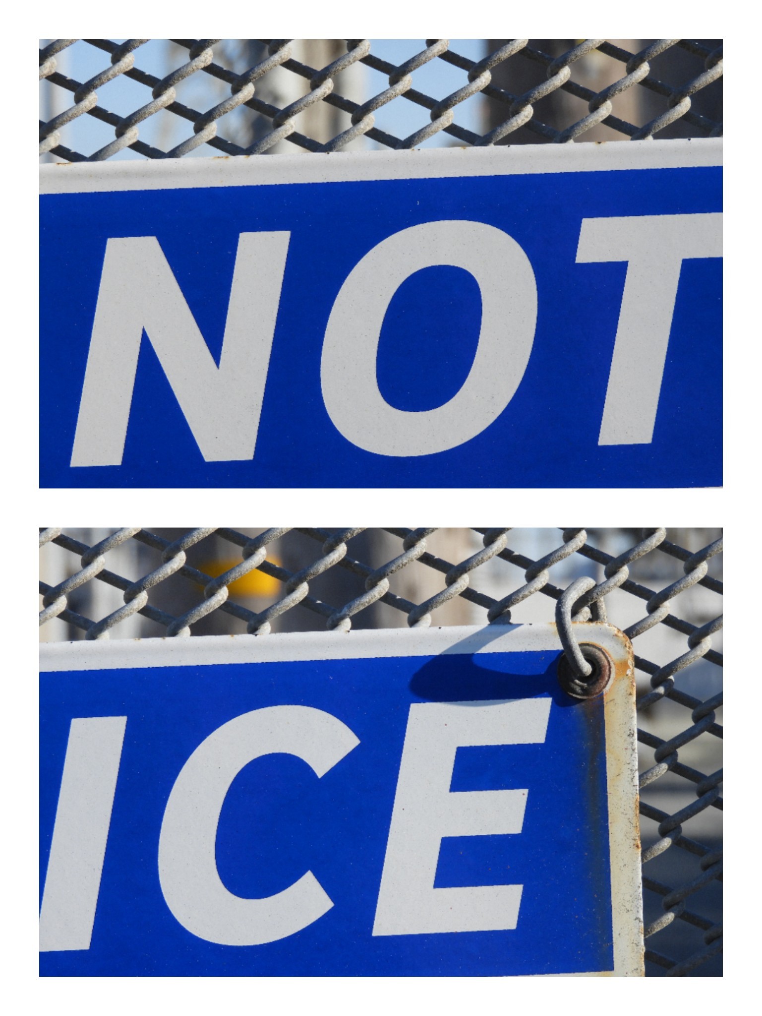 Cropped Signs (2017)