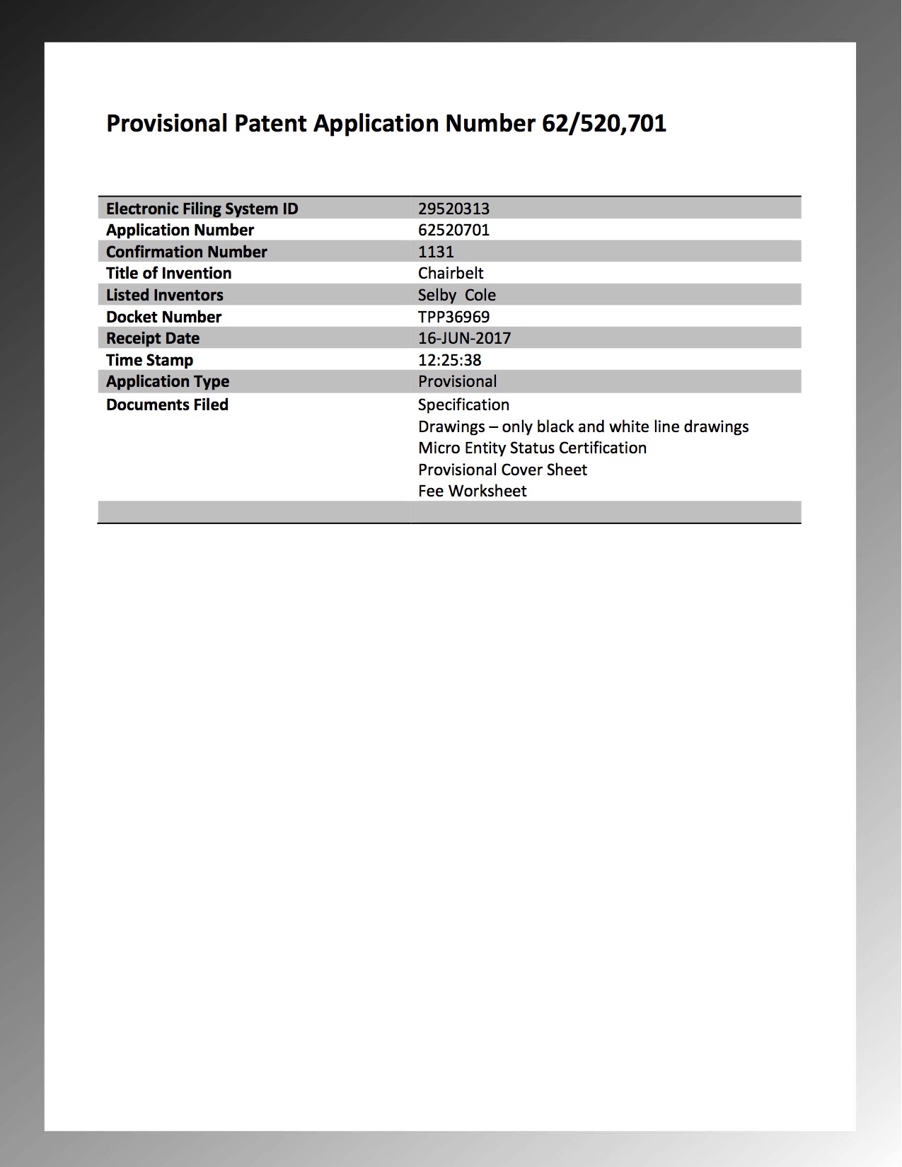 Filing Confirmation p2.jpg