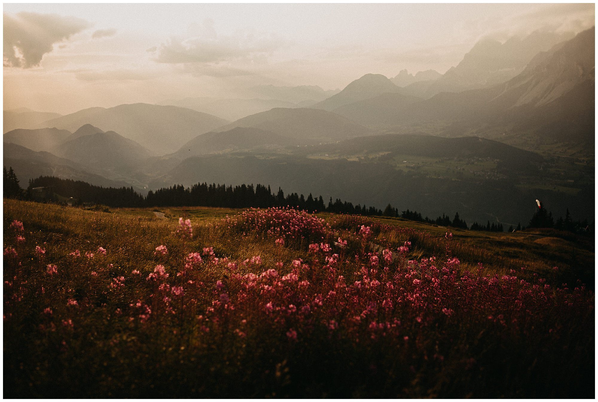 Hochzeit_Schafalm_Steiermark_photomo126.jpg