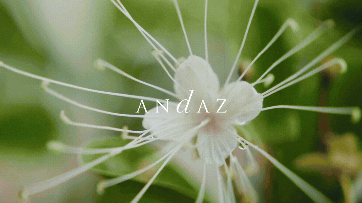Andaz Hotels - Brand Design & Art Direction by Sandy Ley