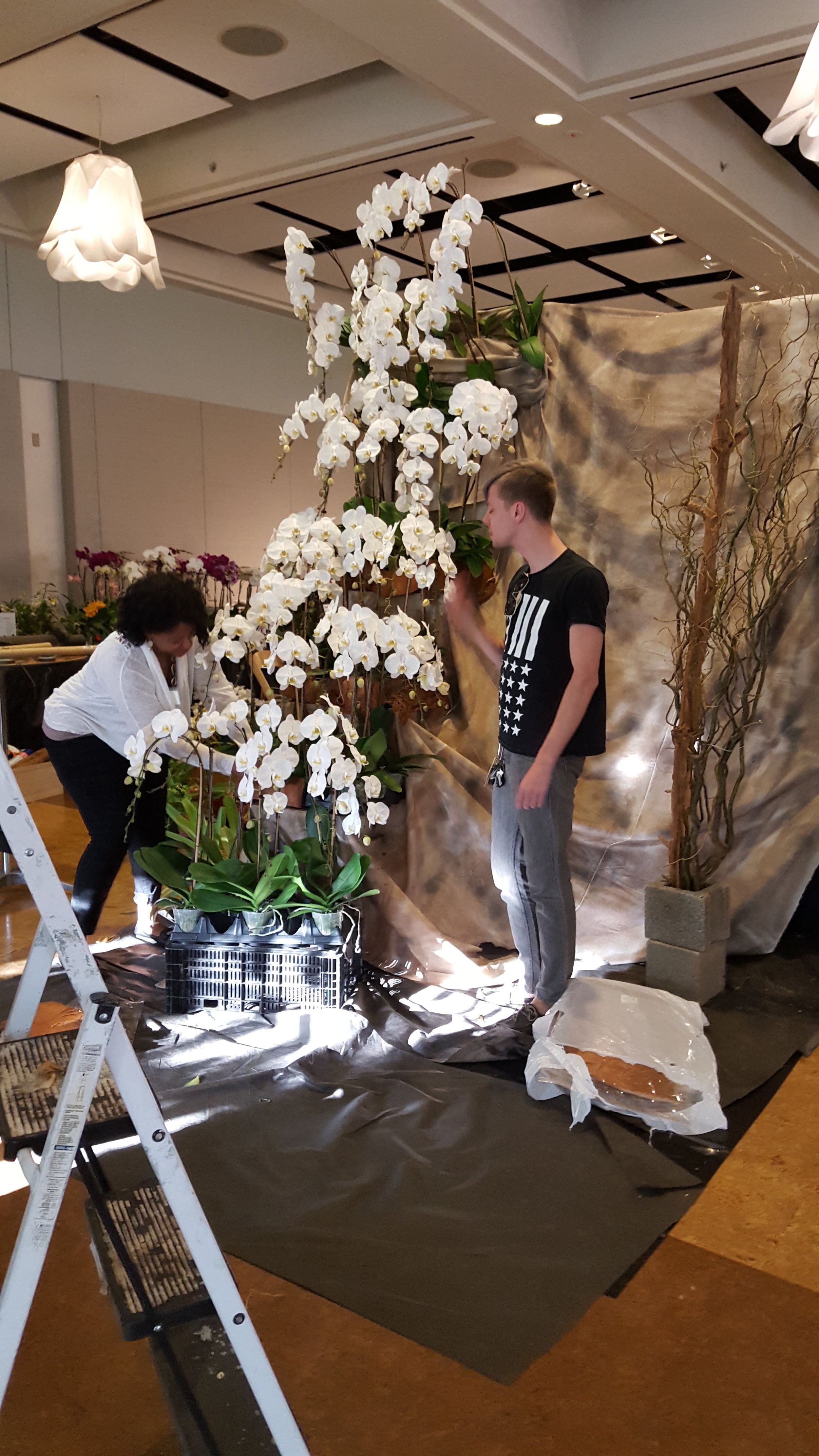 Saundra Nixon and Kyle Broflovski help assemble the exhibit.