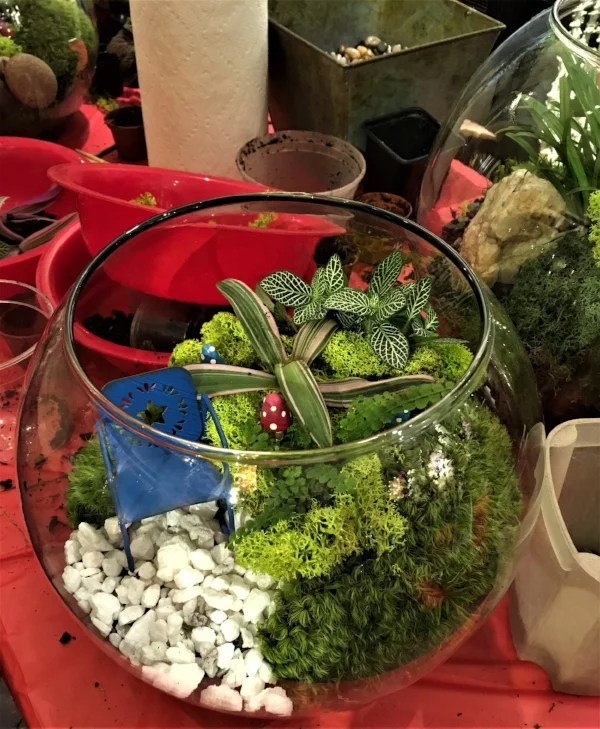 Private terrarium class makes a unique and lasting gift