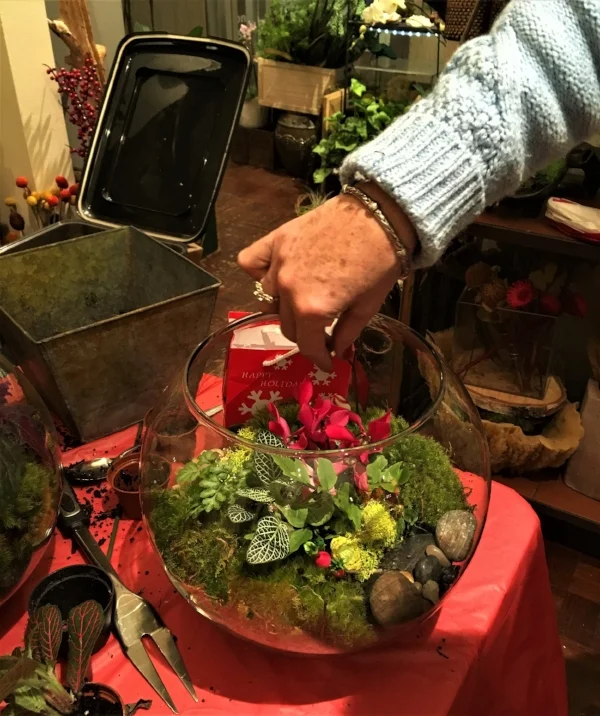 Tiny plants, moss and accent materials combine to make unique miniature landscape scenes - no two alike.