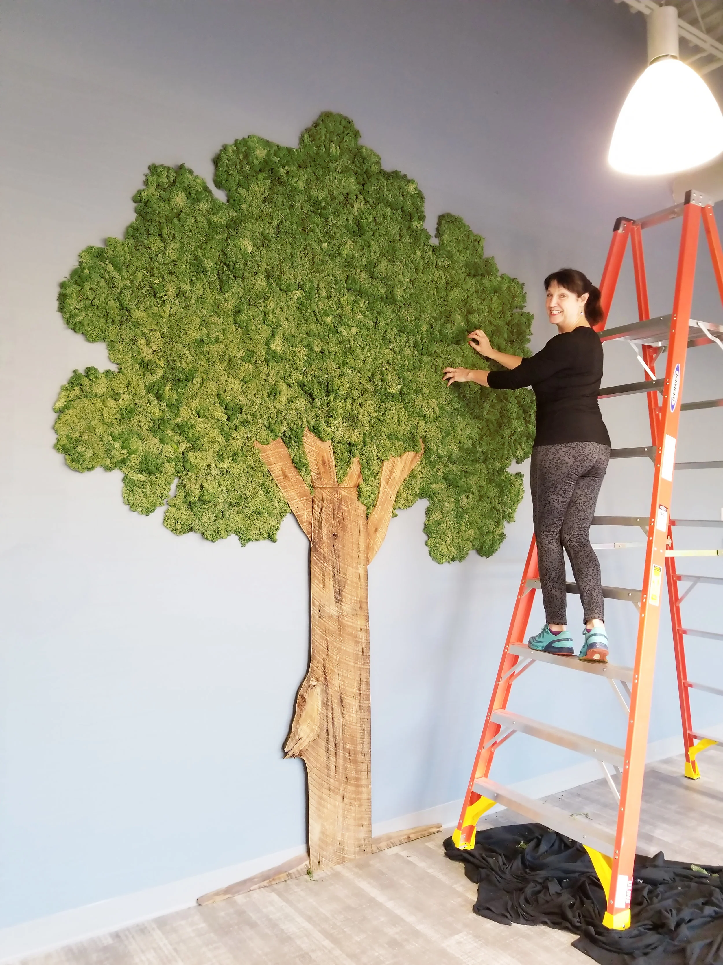 Moss wall art, YANMAR Evo//Center, Acworth GA.