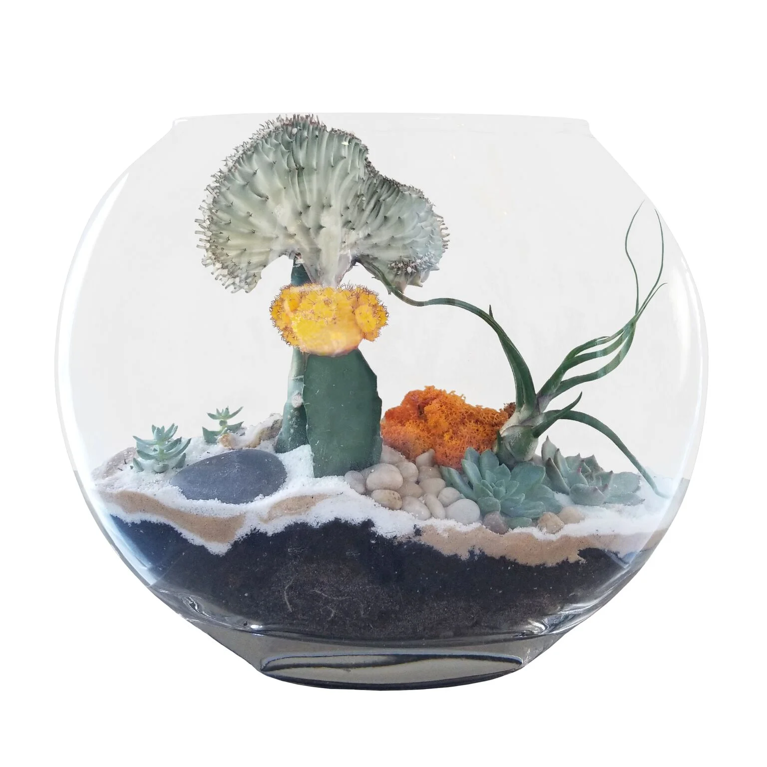 full-moon-terrarium-crystal