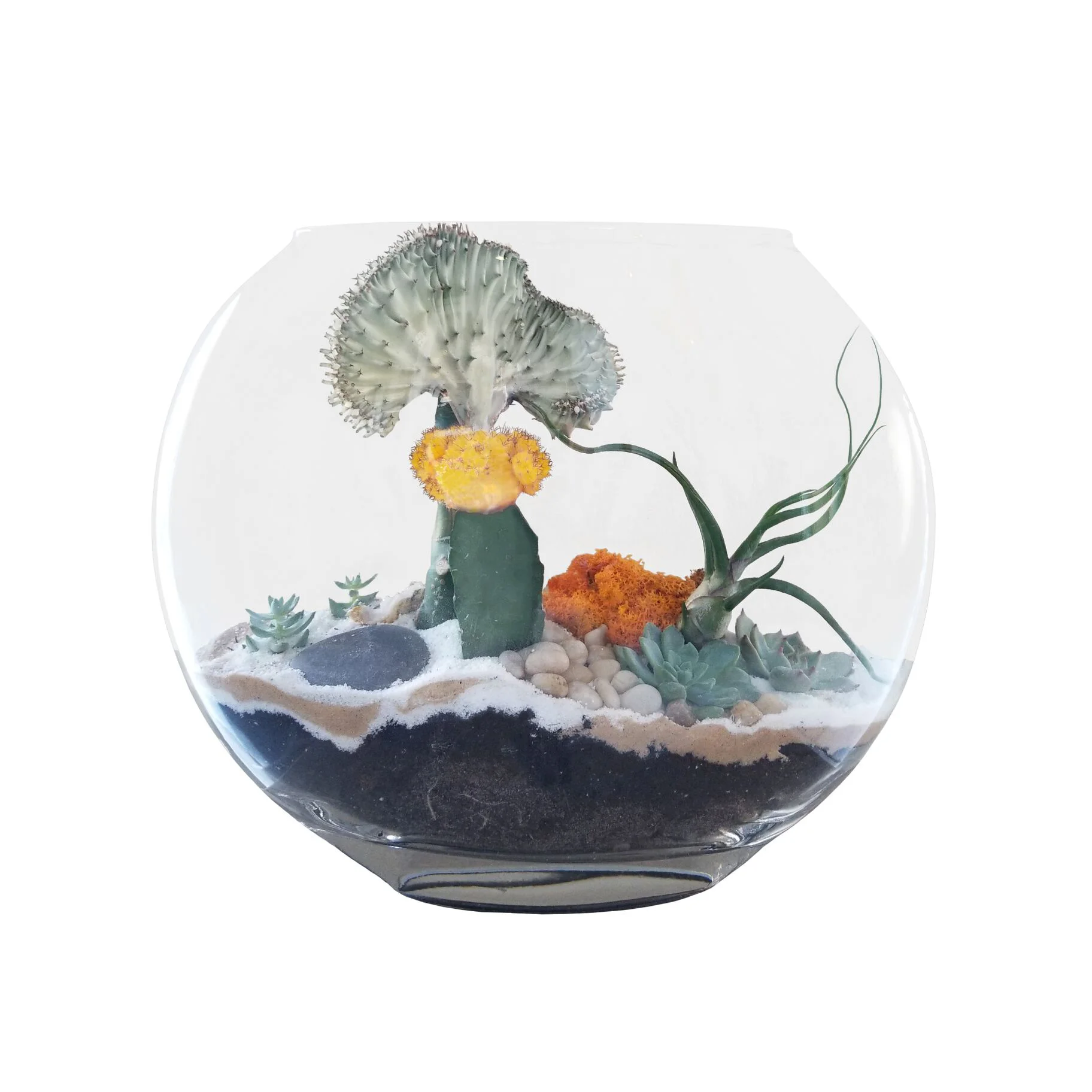full-moon-terrarium-with-crystal