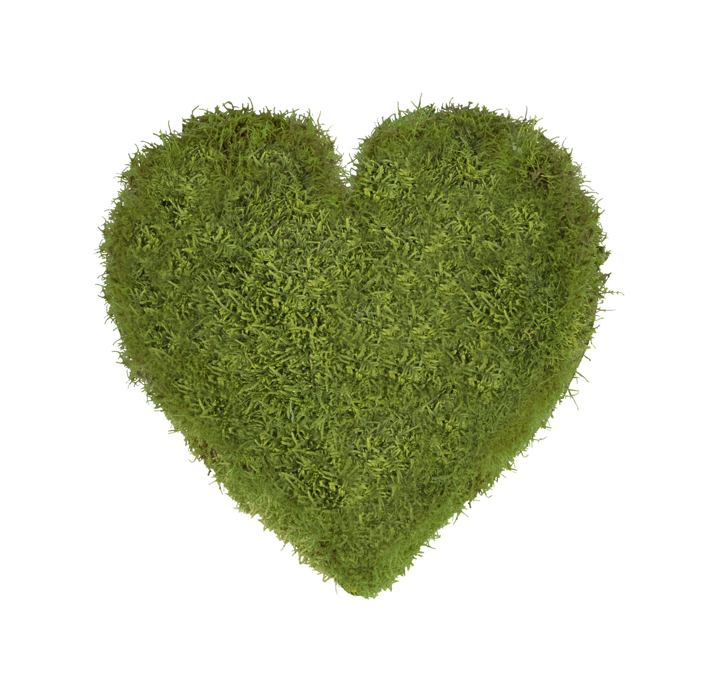 moss-art-heart-green