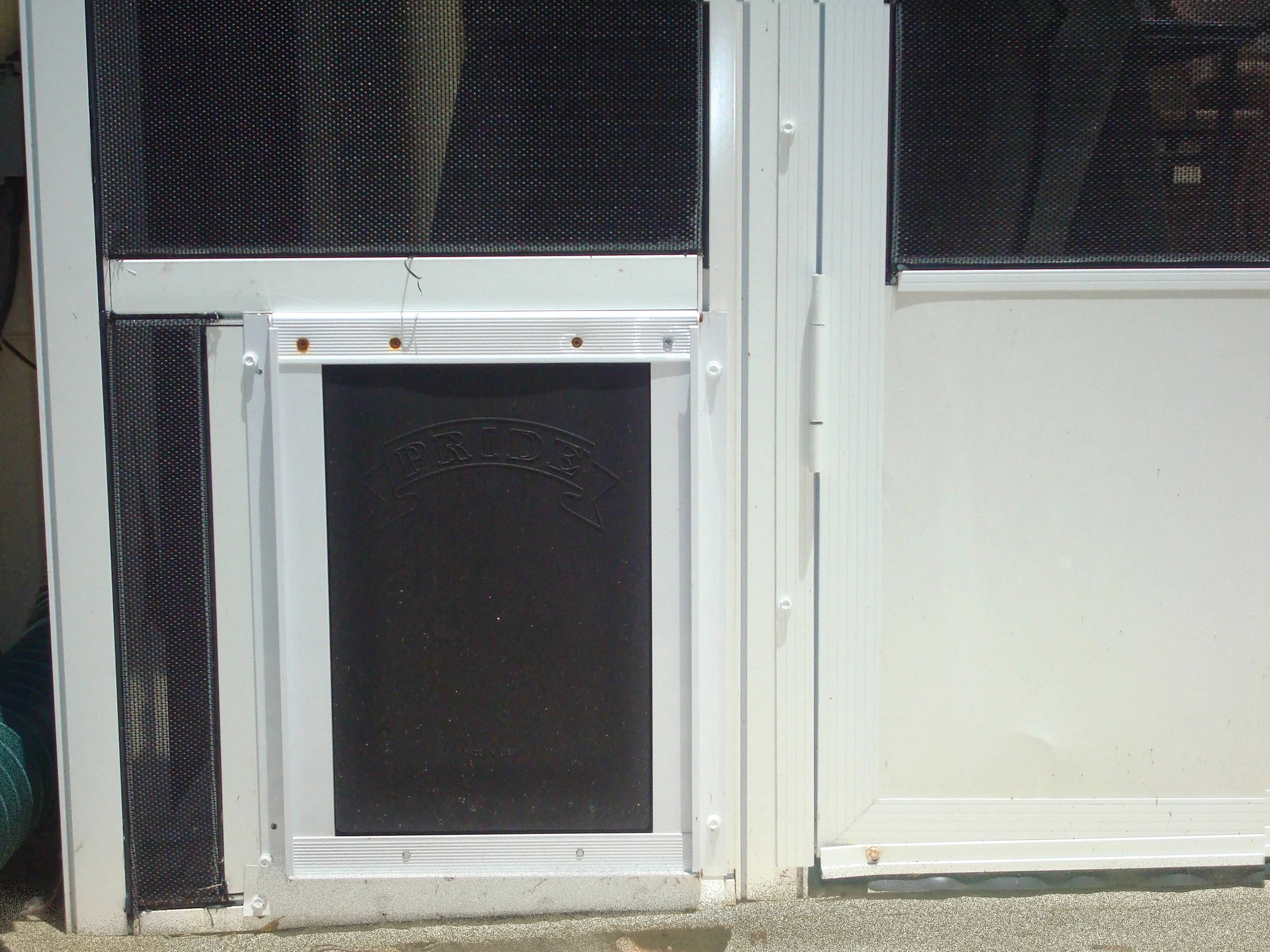 Petdoor1.jpg