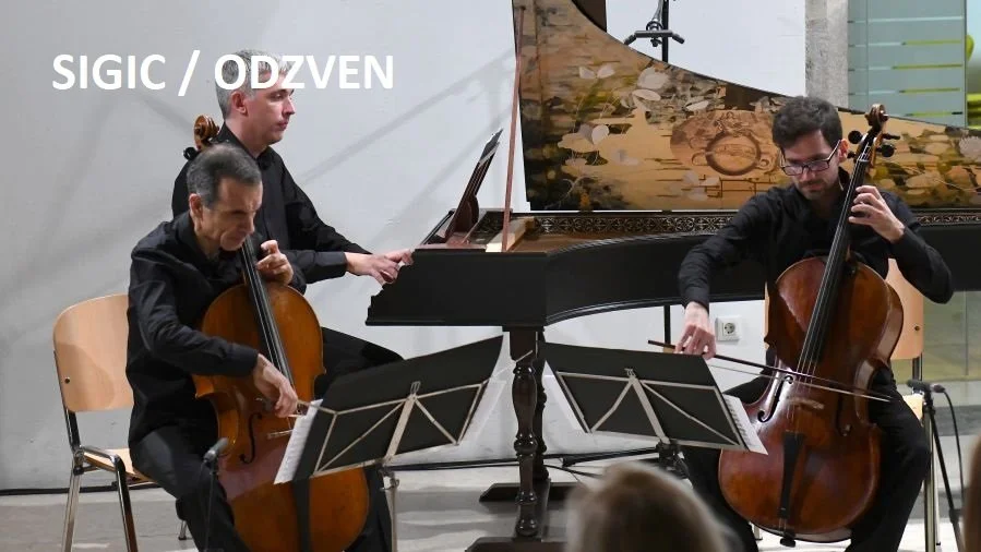 baročni violončelo sigic IN NAPIS.jpg