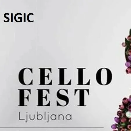 sigic+za%C4%8Detek.jpg+IN+NAPIS.jpg