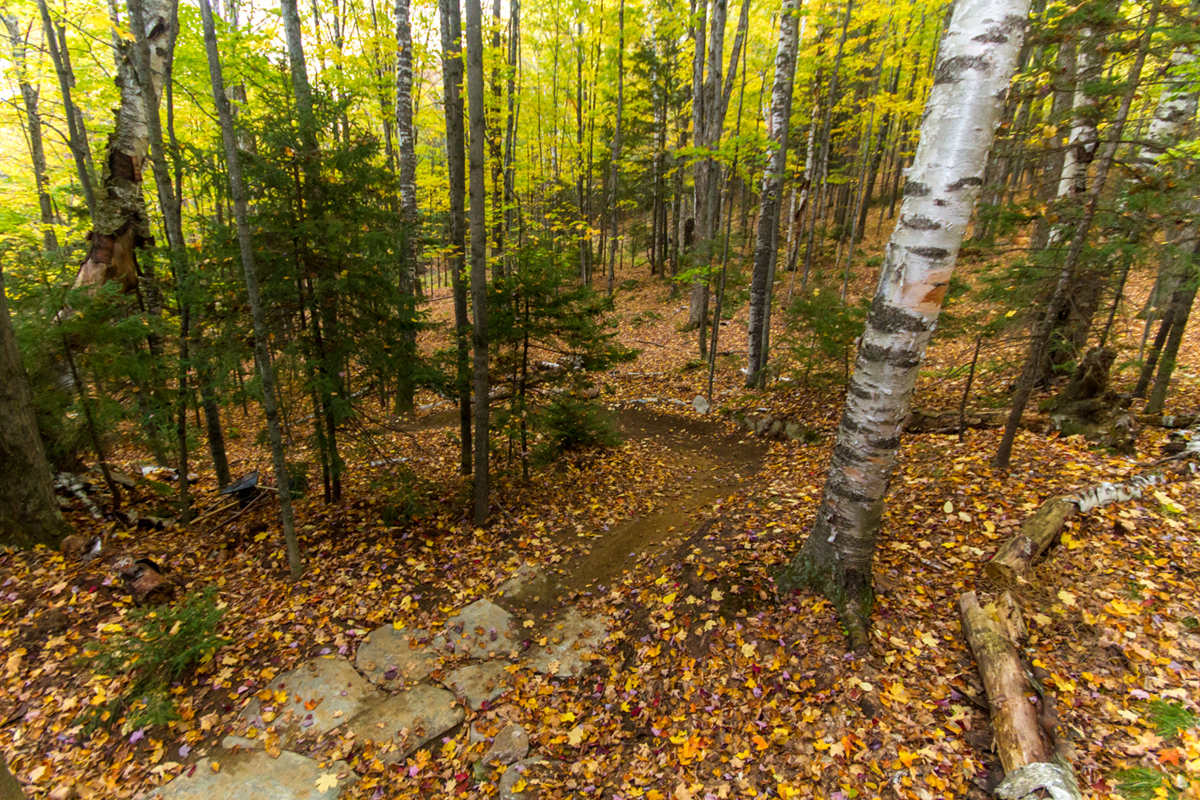 2014-10-06-gs-fam-scenics-gs-025.jpg
