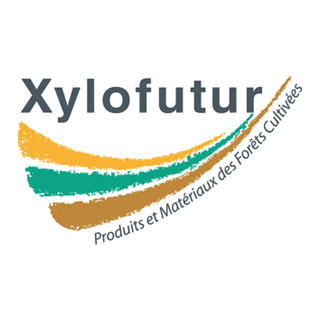 logo_xylo_tailleSiteWeb.jpg