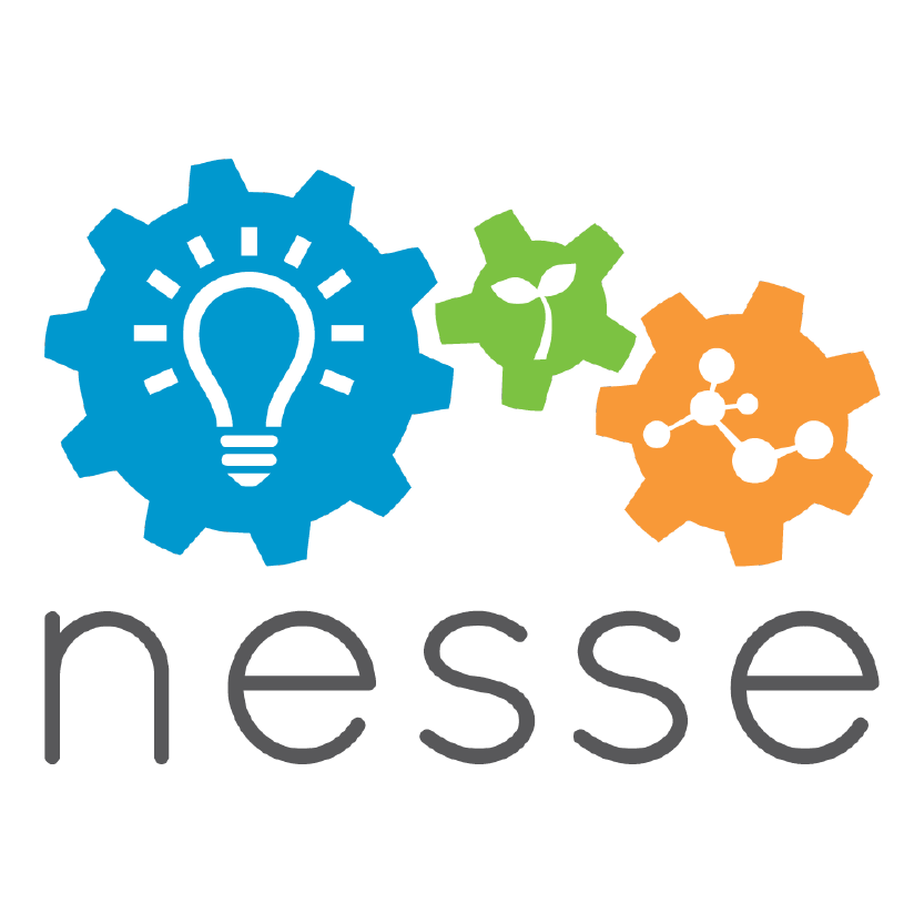 Logo_Nesse-01.png