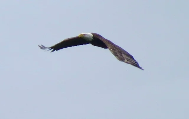 img_7279.jpeg