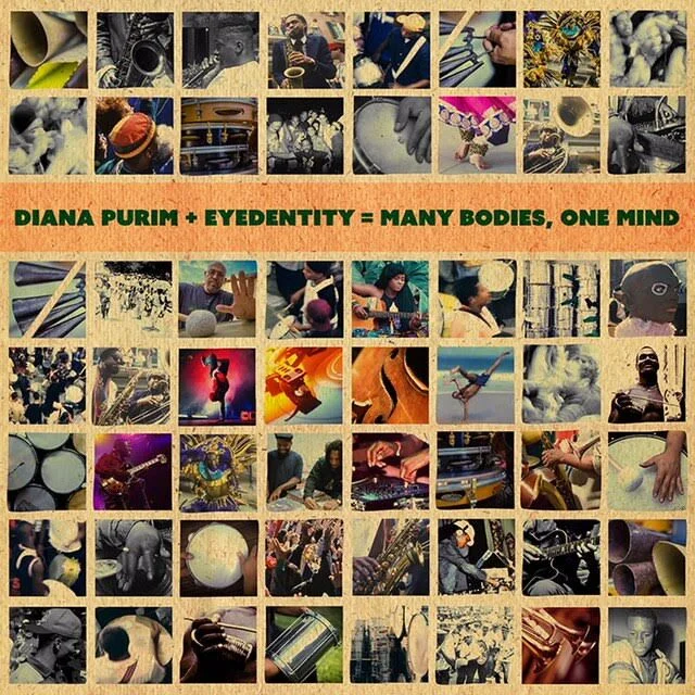 ManyBodiesOneMind-CoverArt_Diana Purim & Eyedentity.jpeg