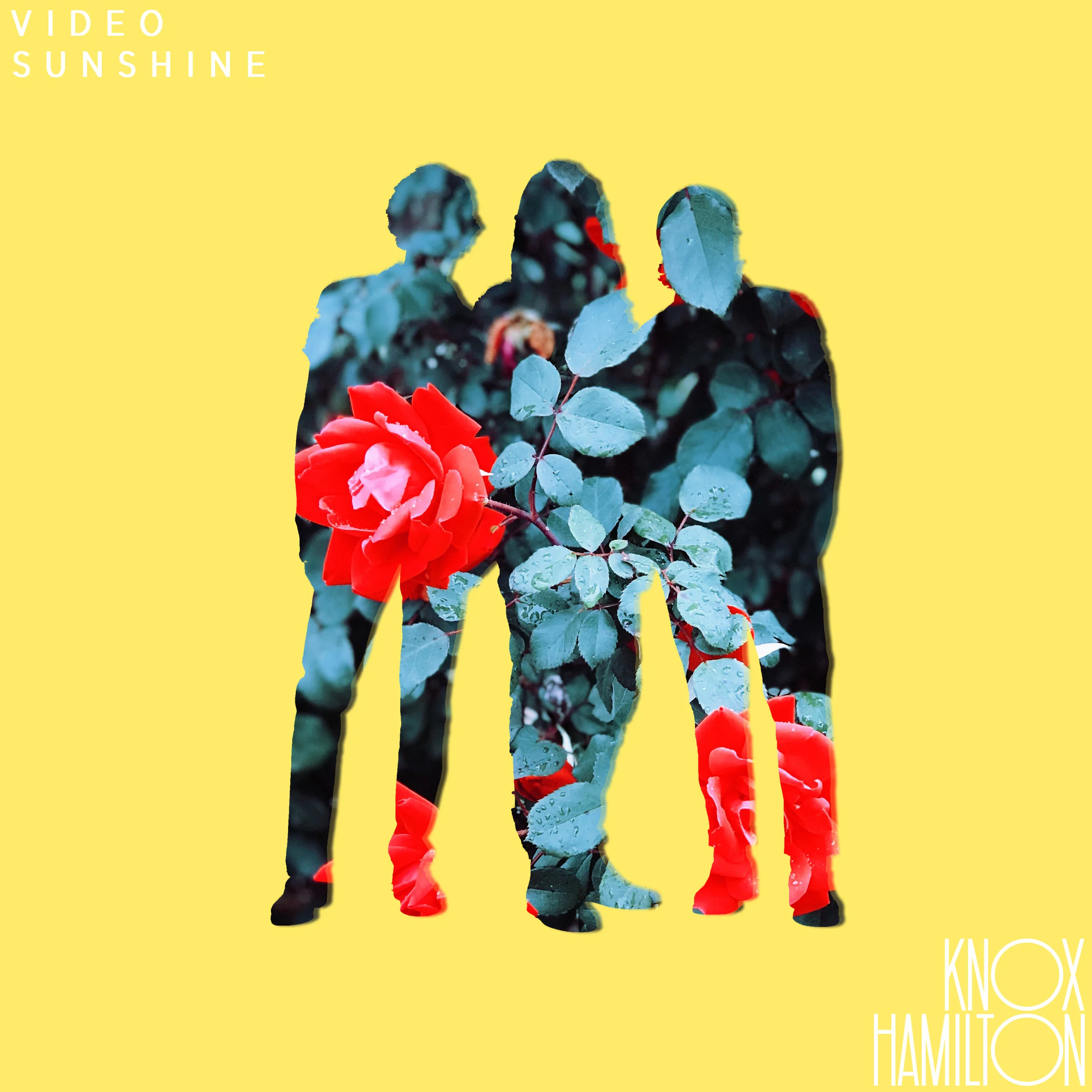 Soak Up Some Sun with Knox Hamilton's New Track "Video Sunshine"