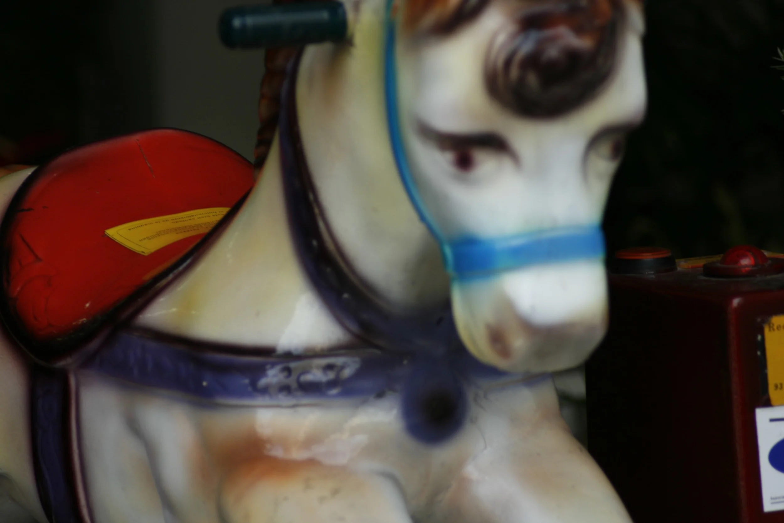 caballito.jpg