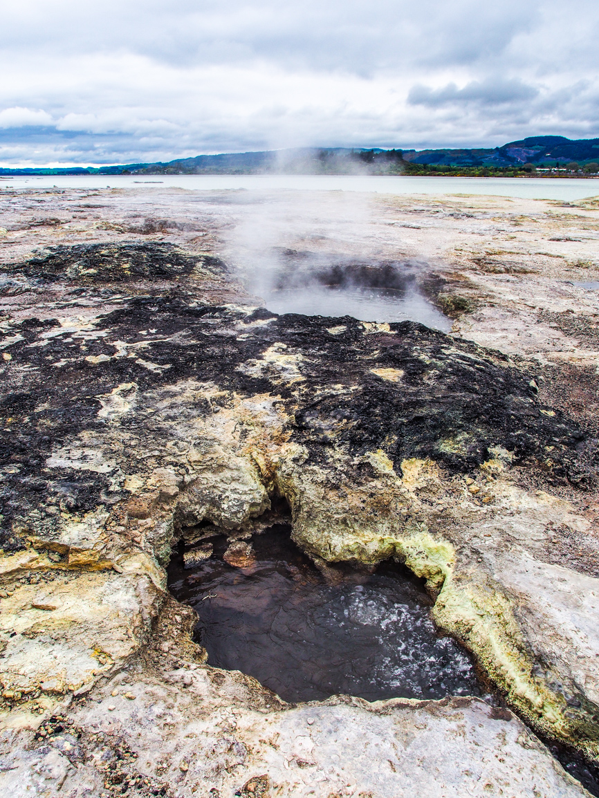 Geothermal Rotorua