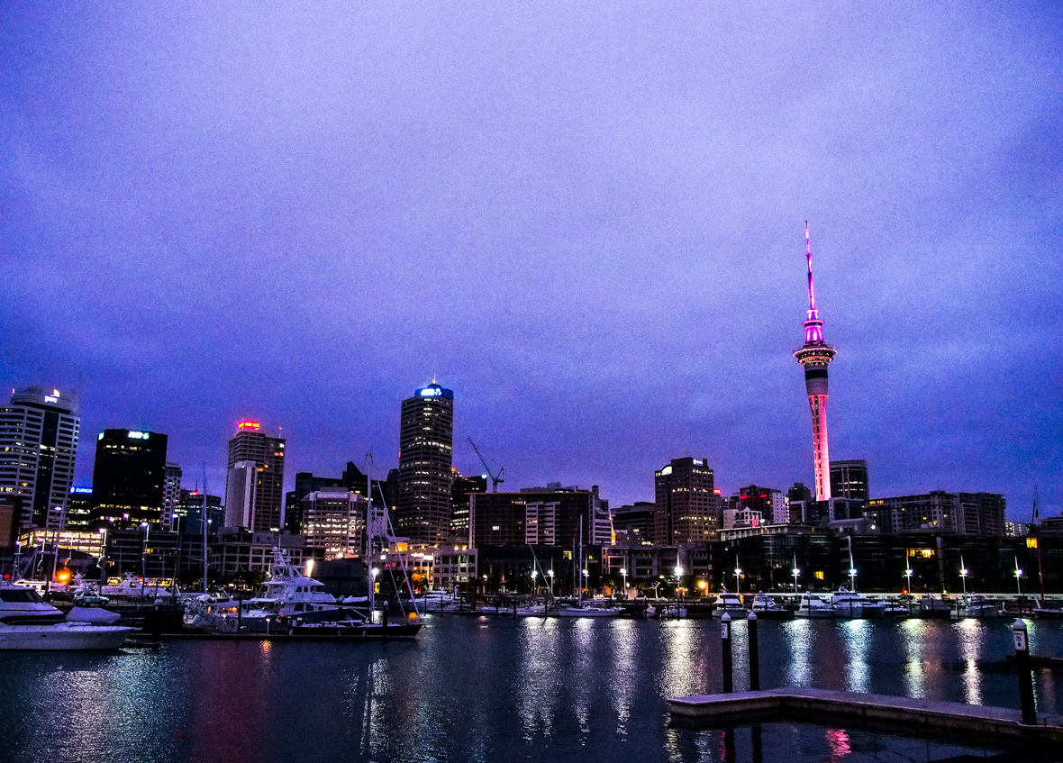 Auckland in the Morning