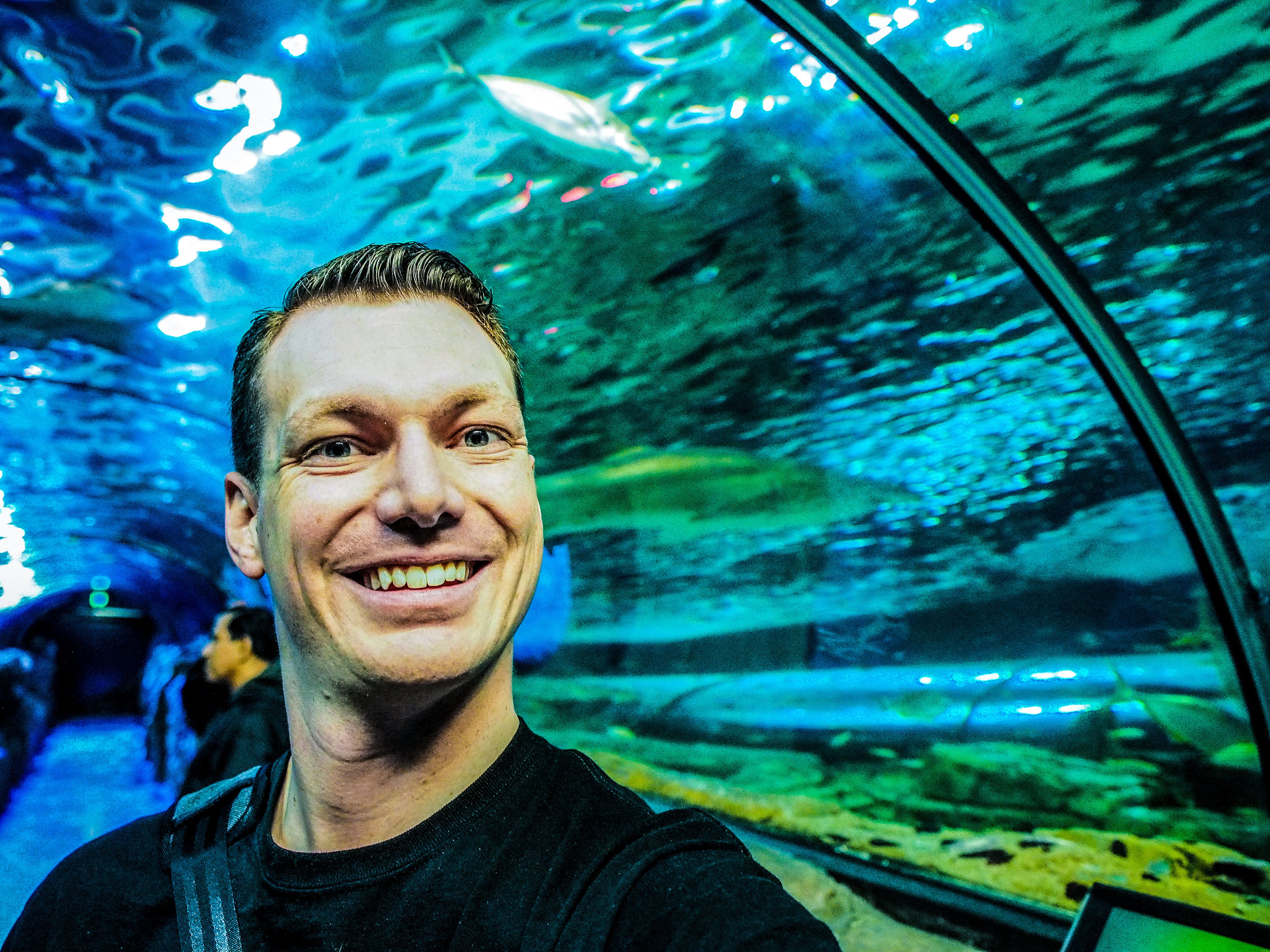 Shark Selfie