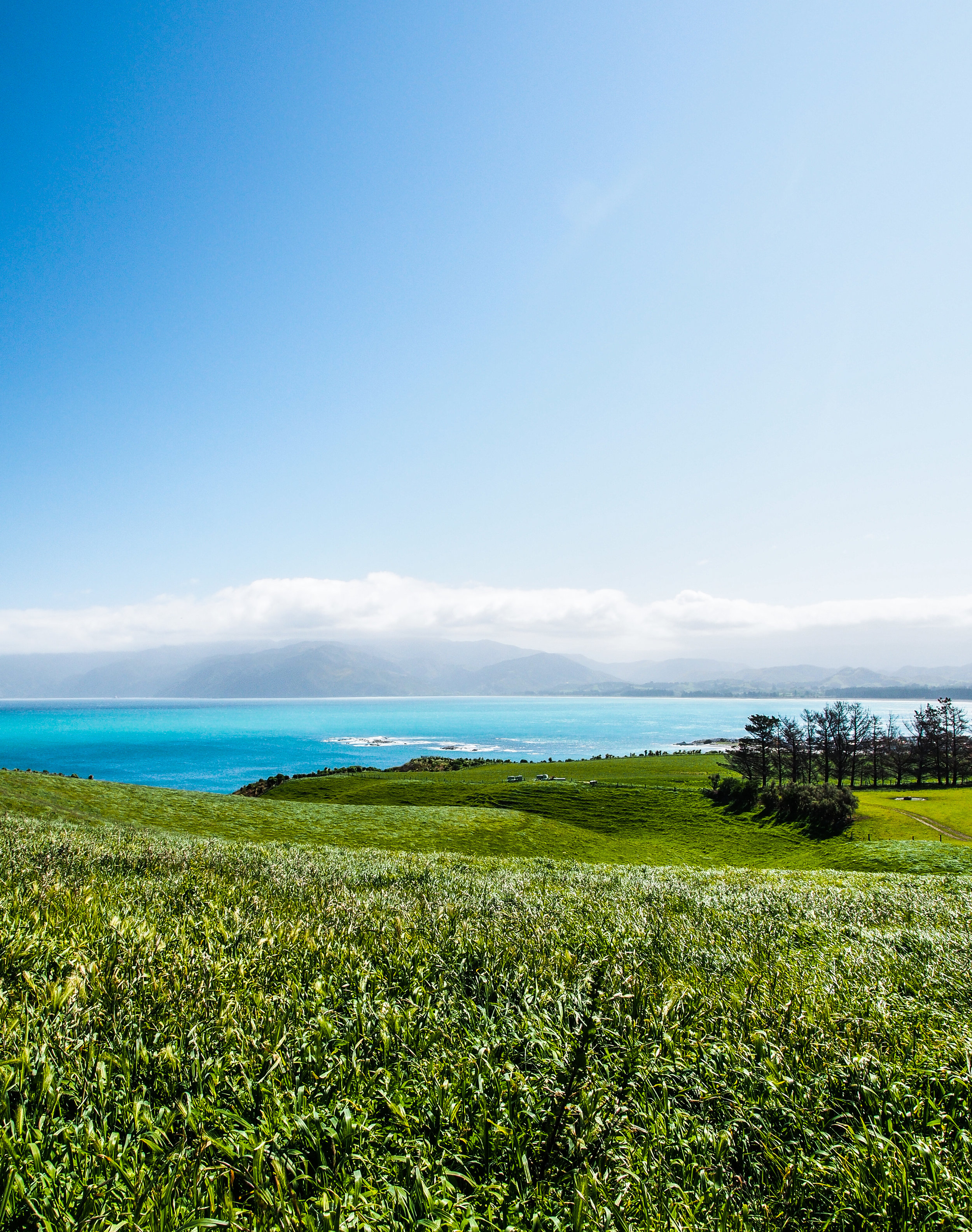 Kaikoura