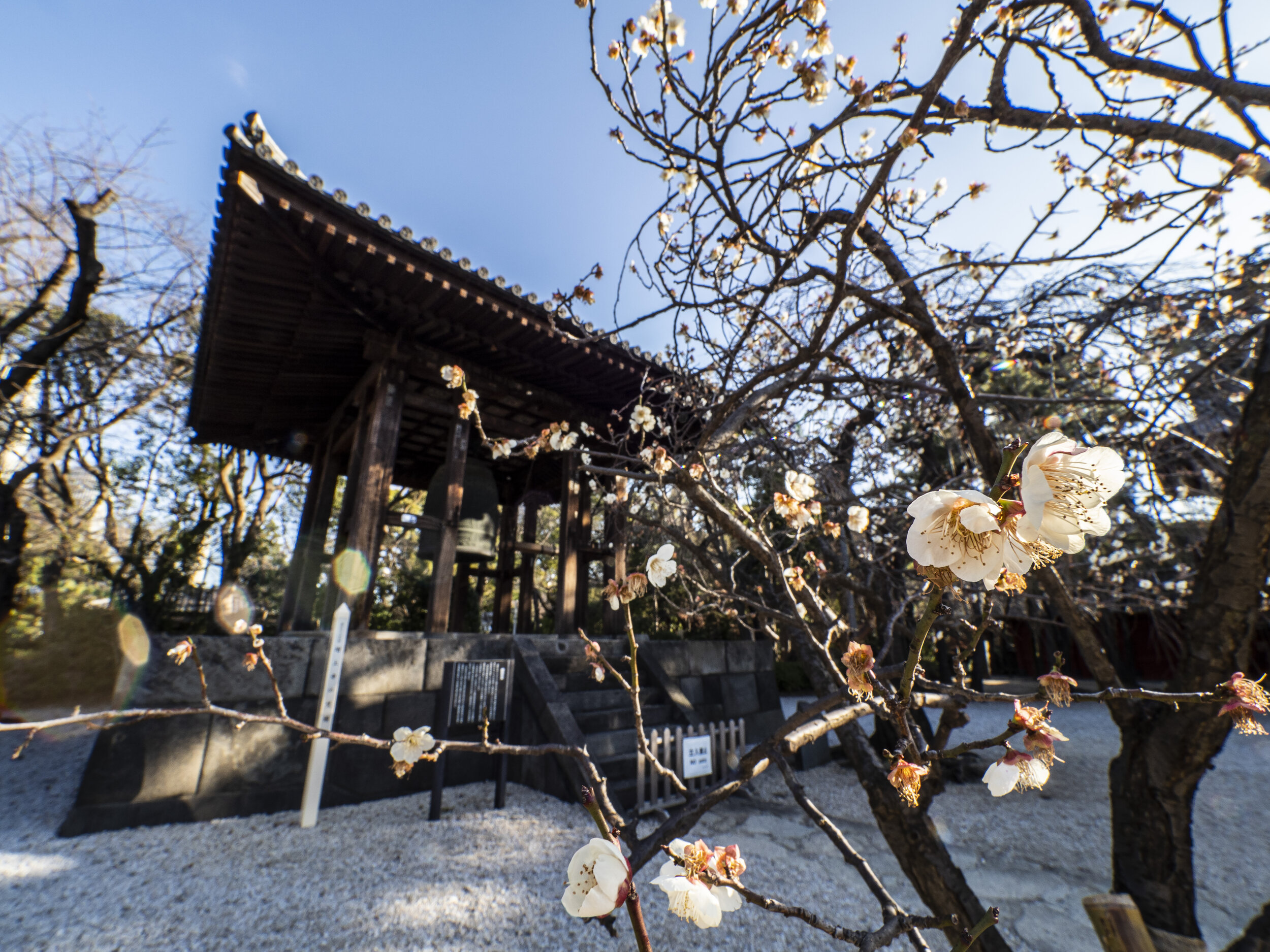 Zojoji Temple