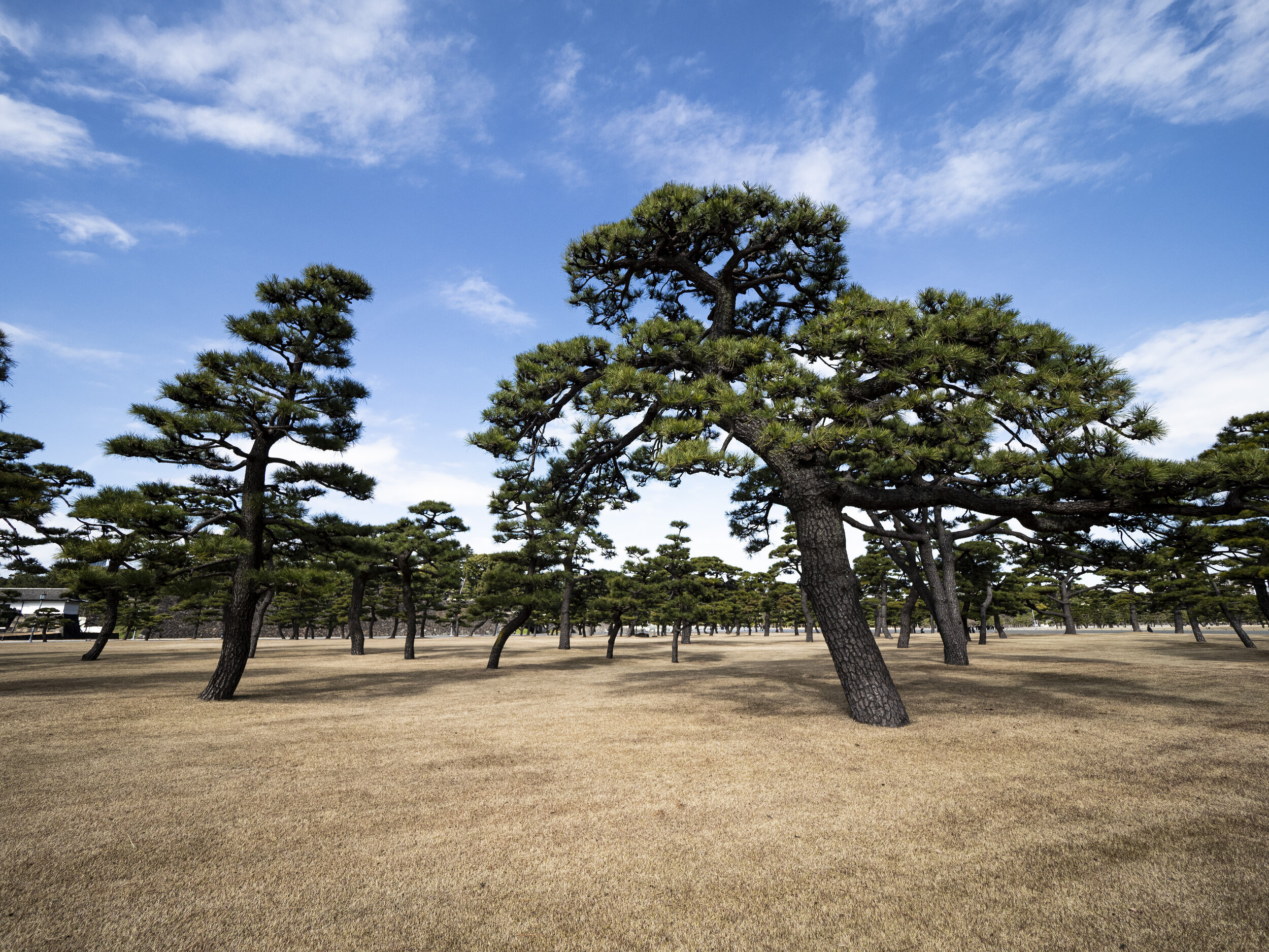 Imperial Palace