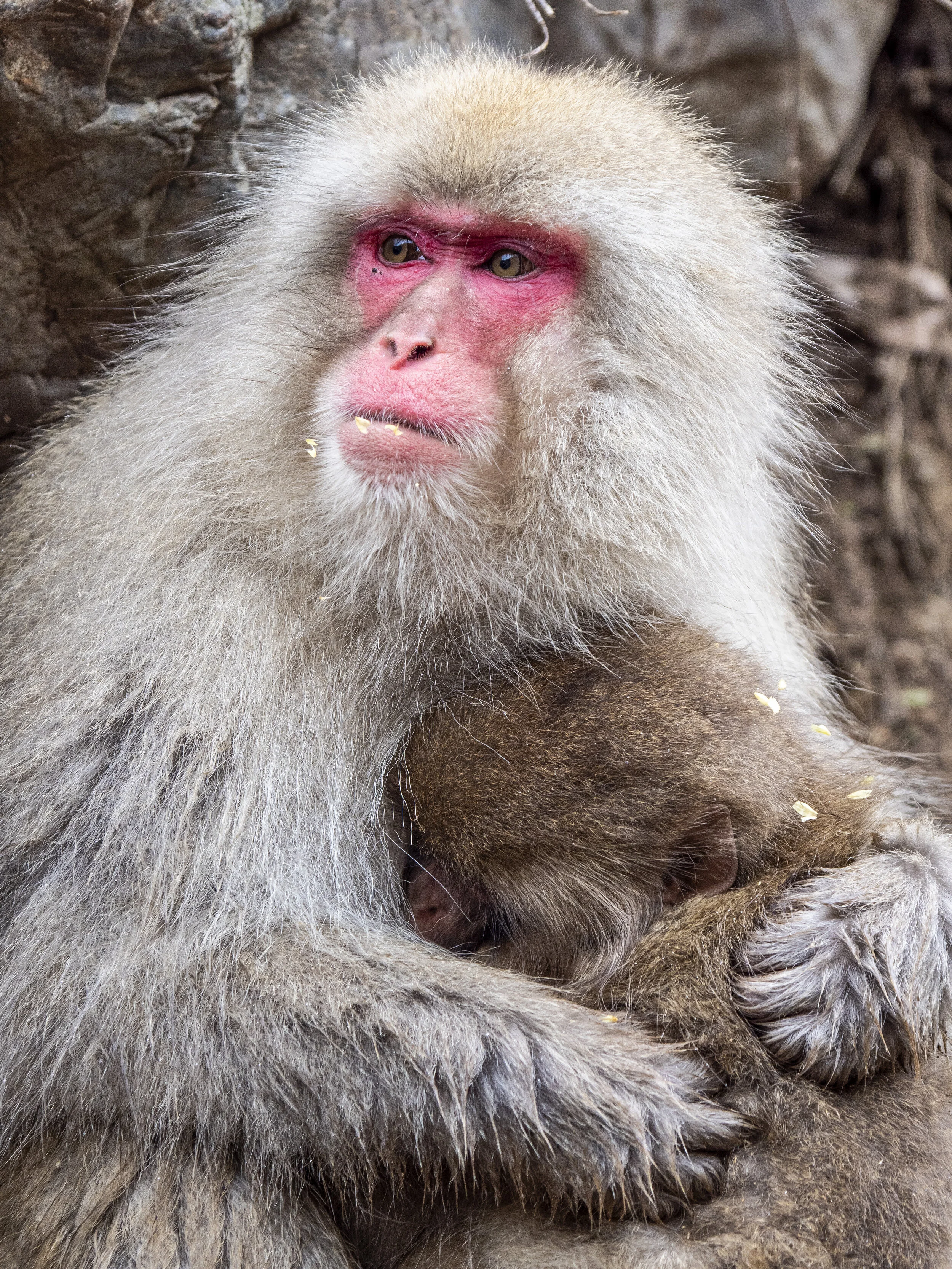 Mom And Little One