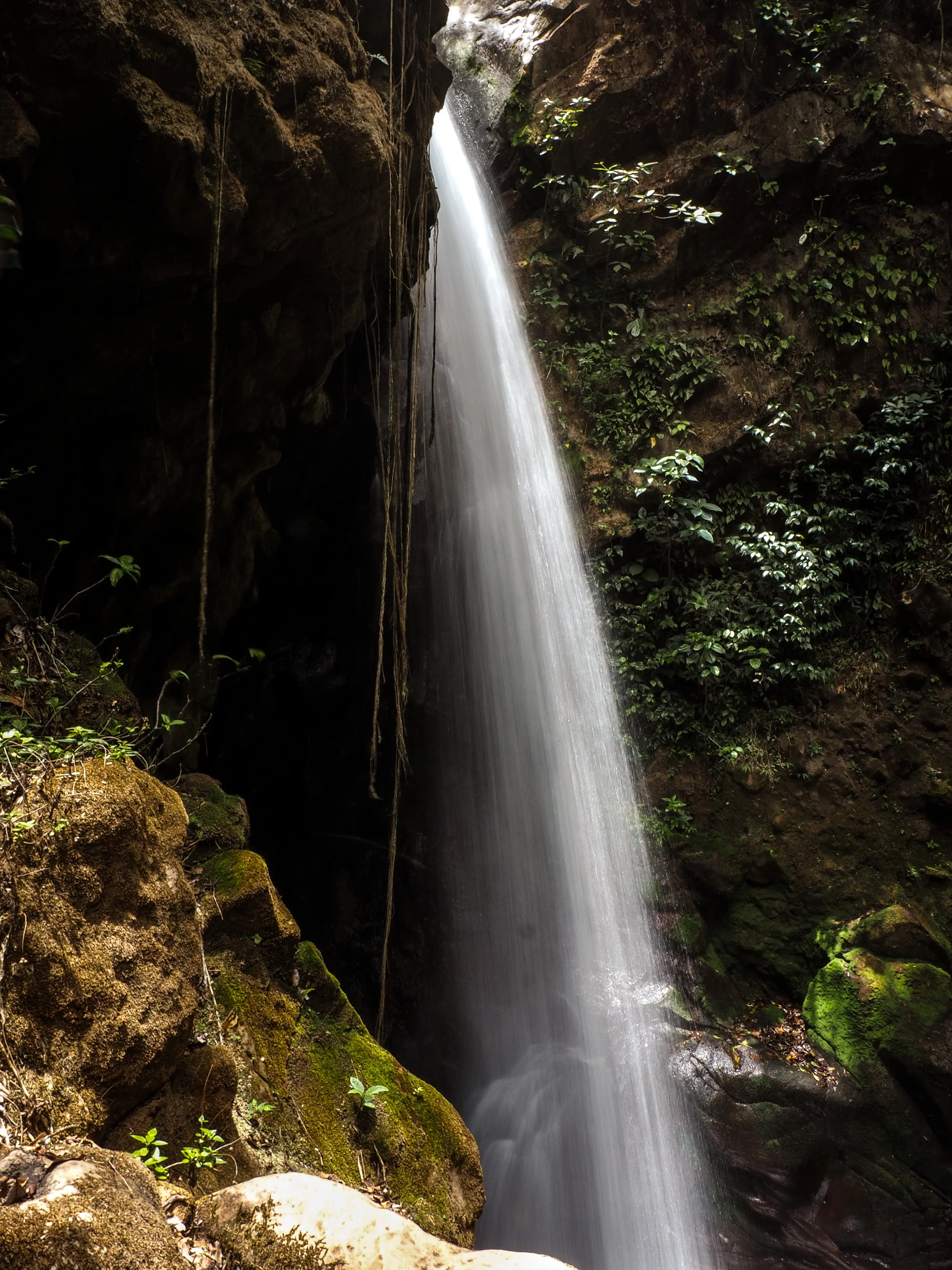 Oropendola Waterfall