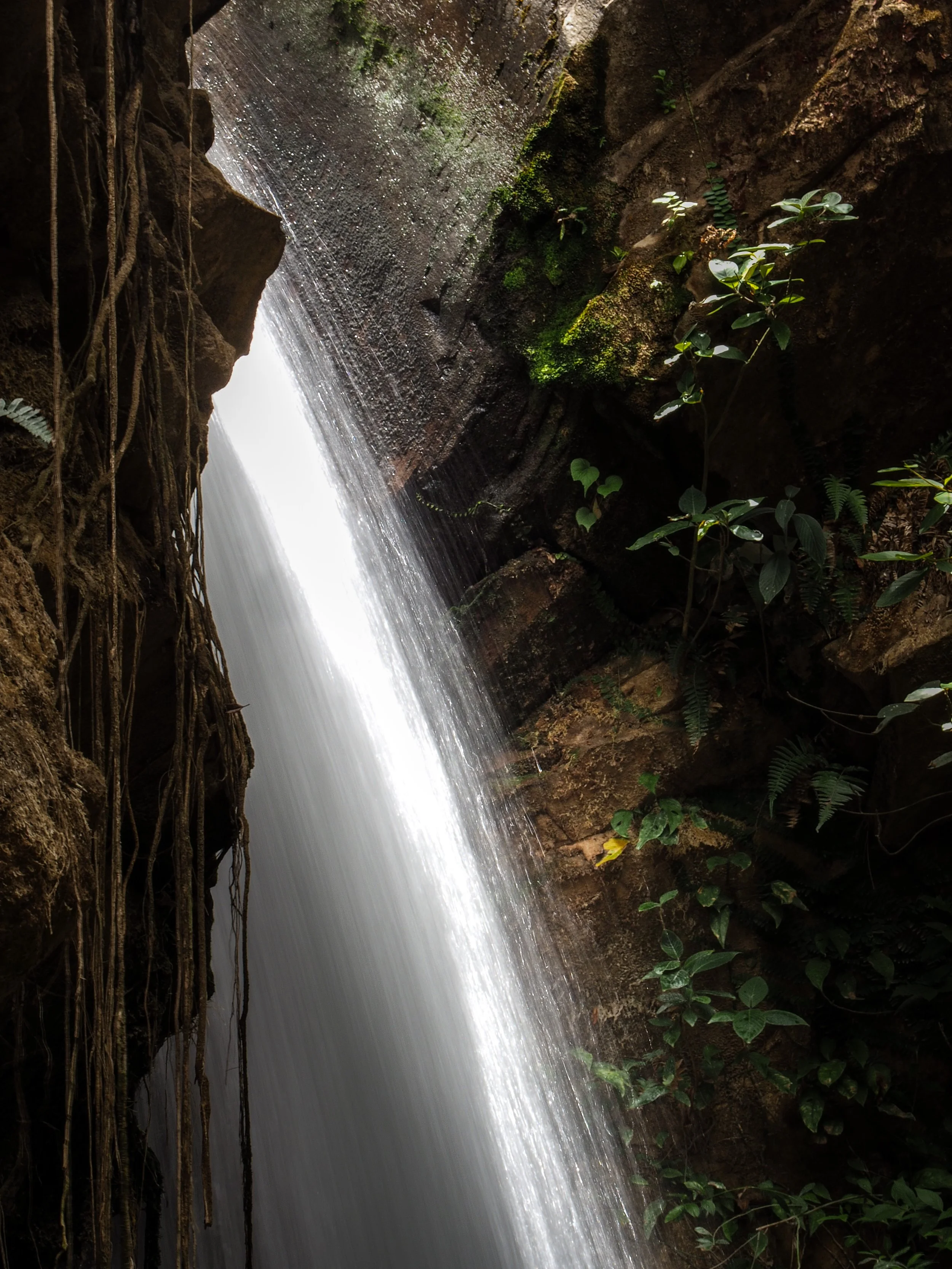 Oropendola Waterfall