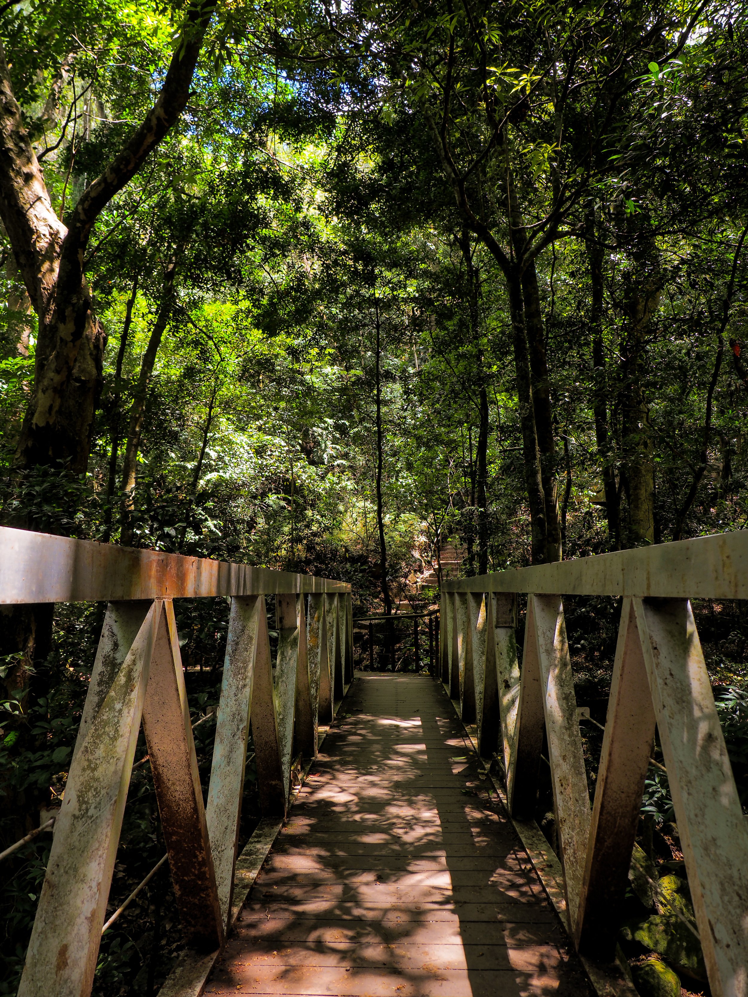 Parque Nacional Rincón de la Vieja