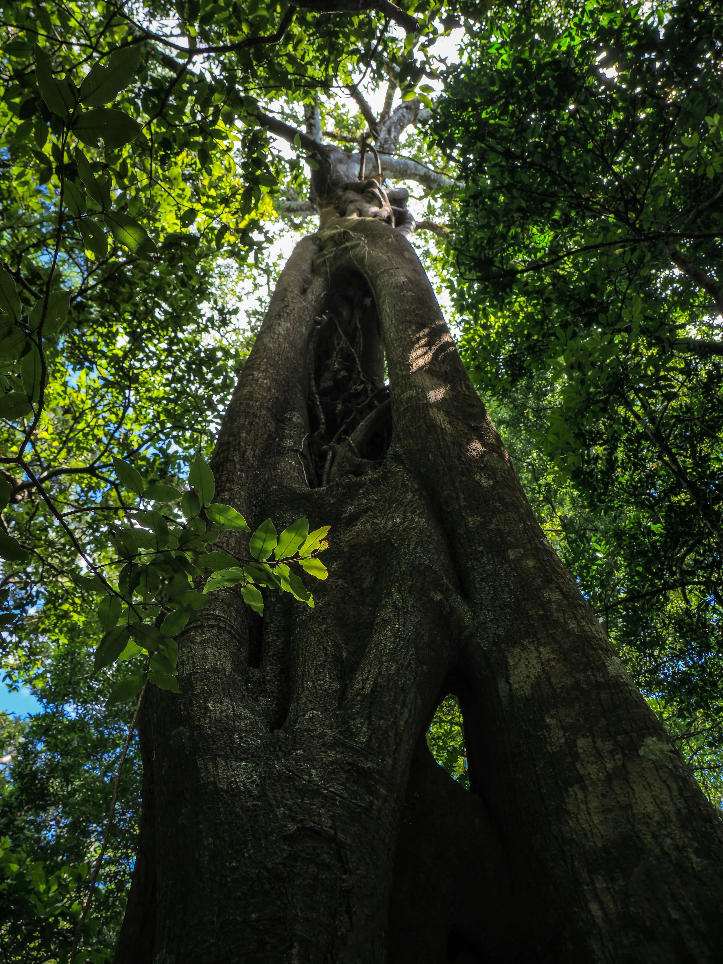 Parque Nacional Rincón de la Vieja