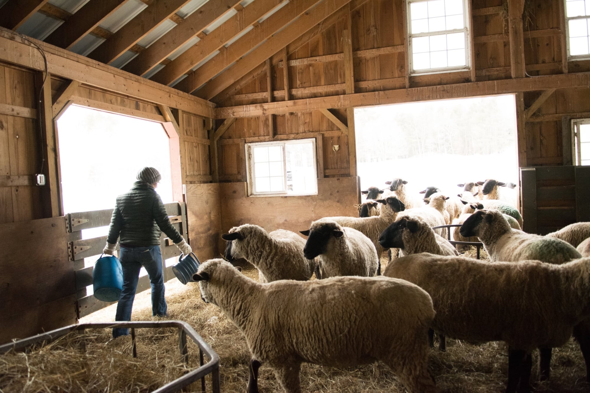 North Star Sheep Farm