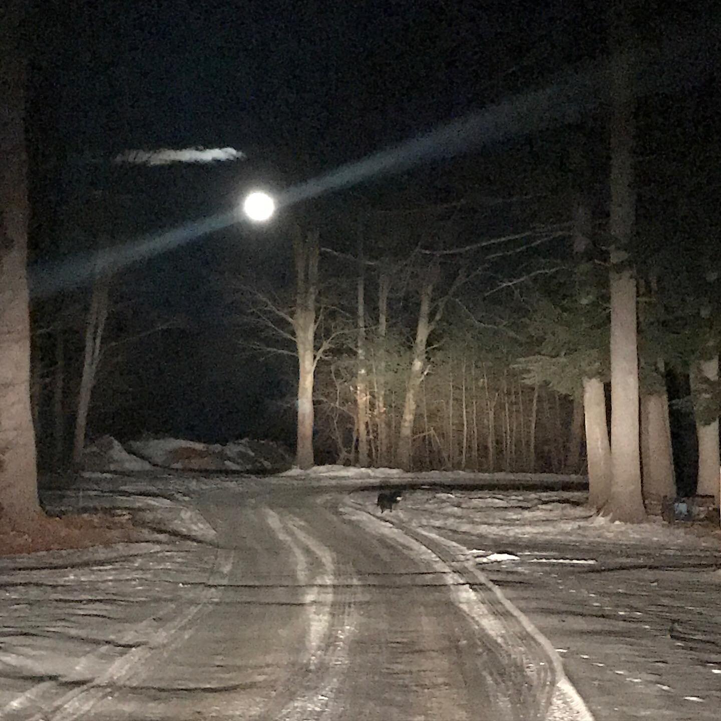 Taking the back road home #fullmoon #mainewinter #mainefarms