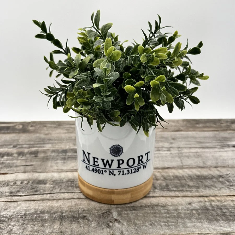 square pot 4x4 with plant.jpg