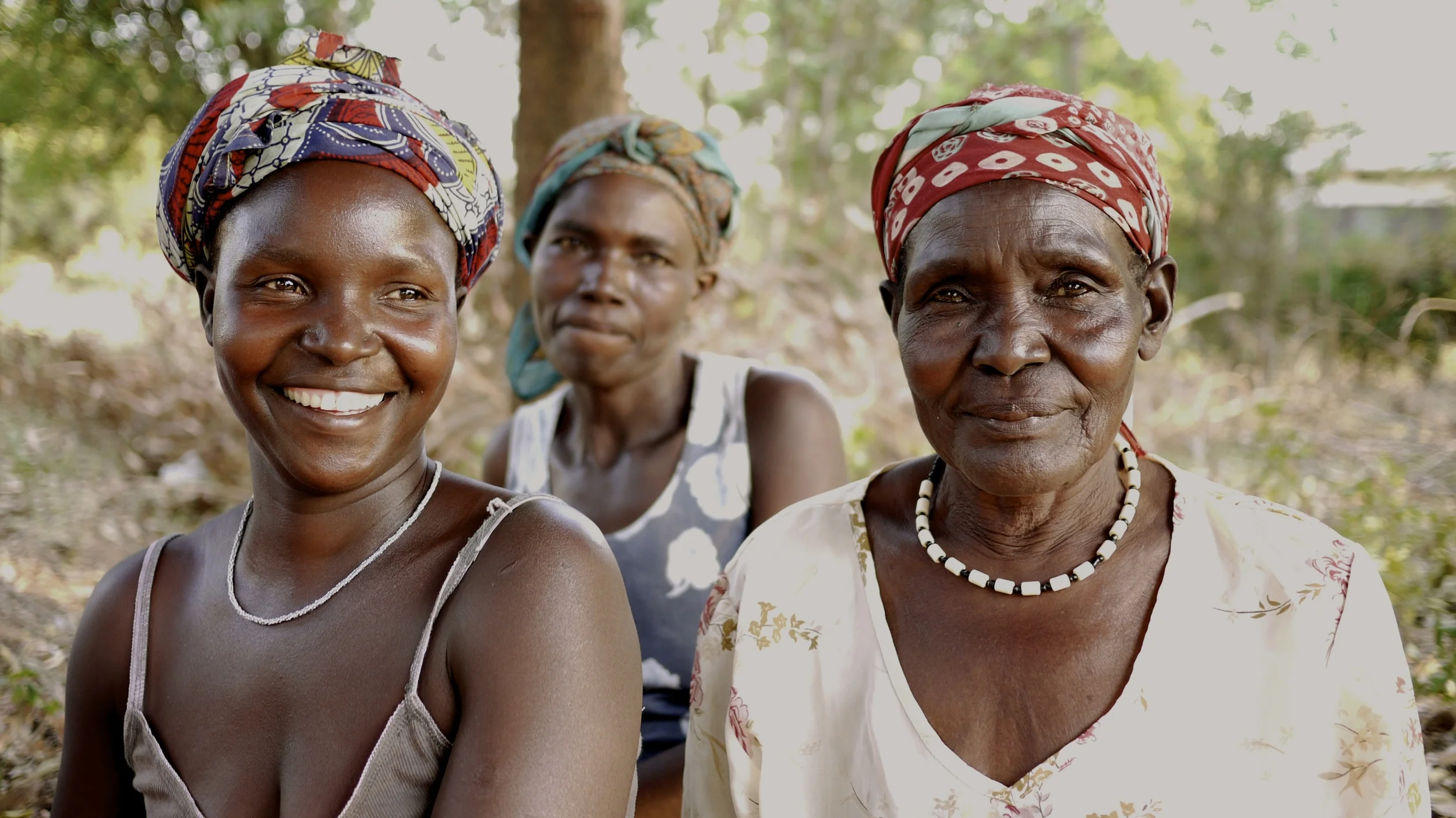 Impact Pathways financial resilience