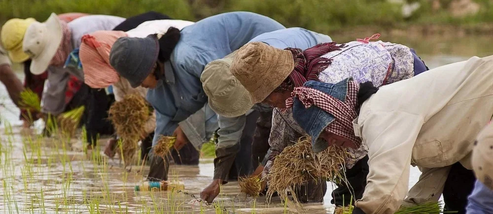 THE UNINTENDED CONSEQUENCES OF DOING GOOD