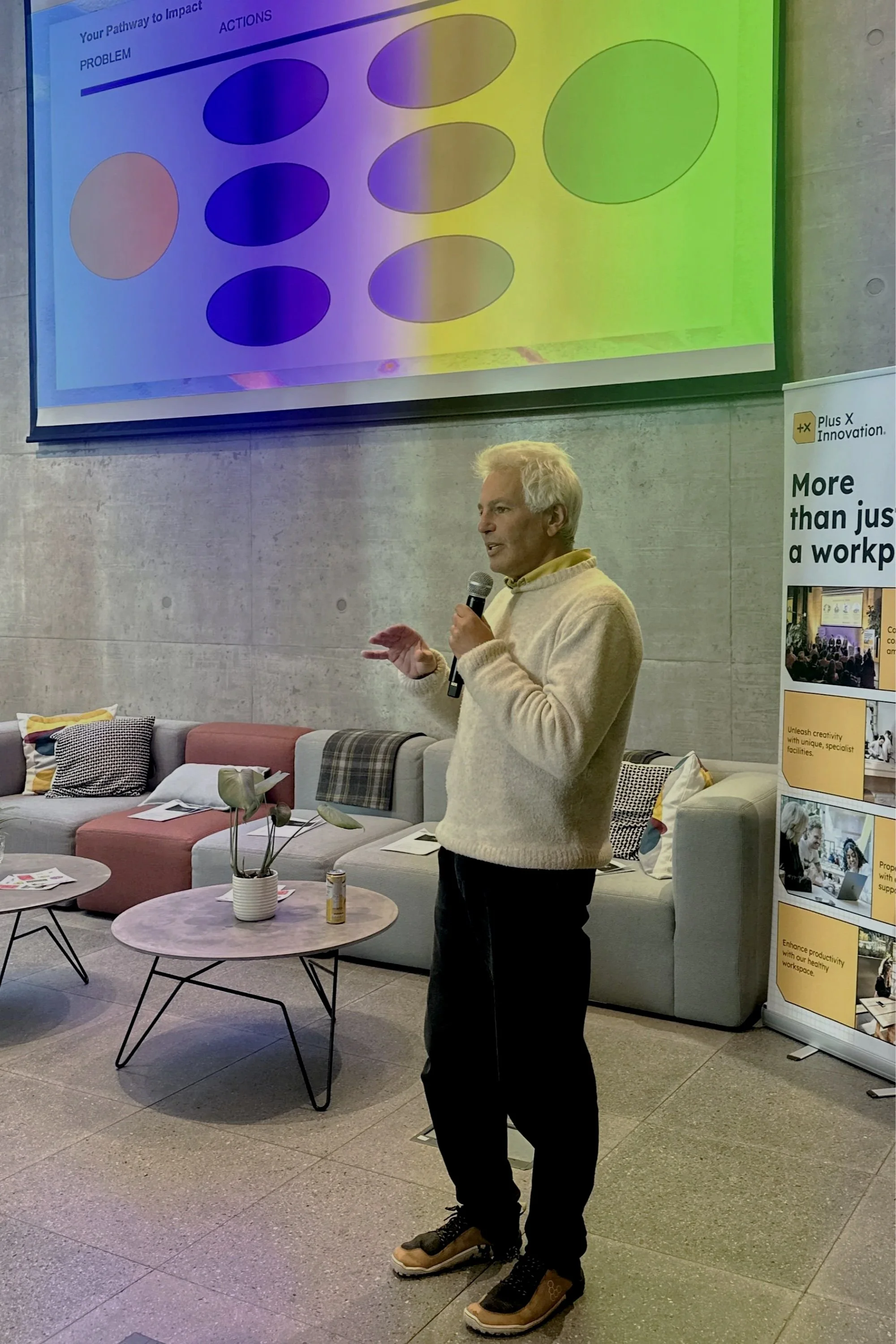 Impact Pathways Anton