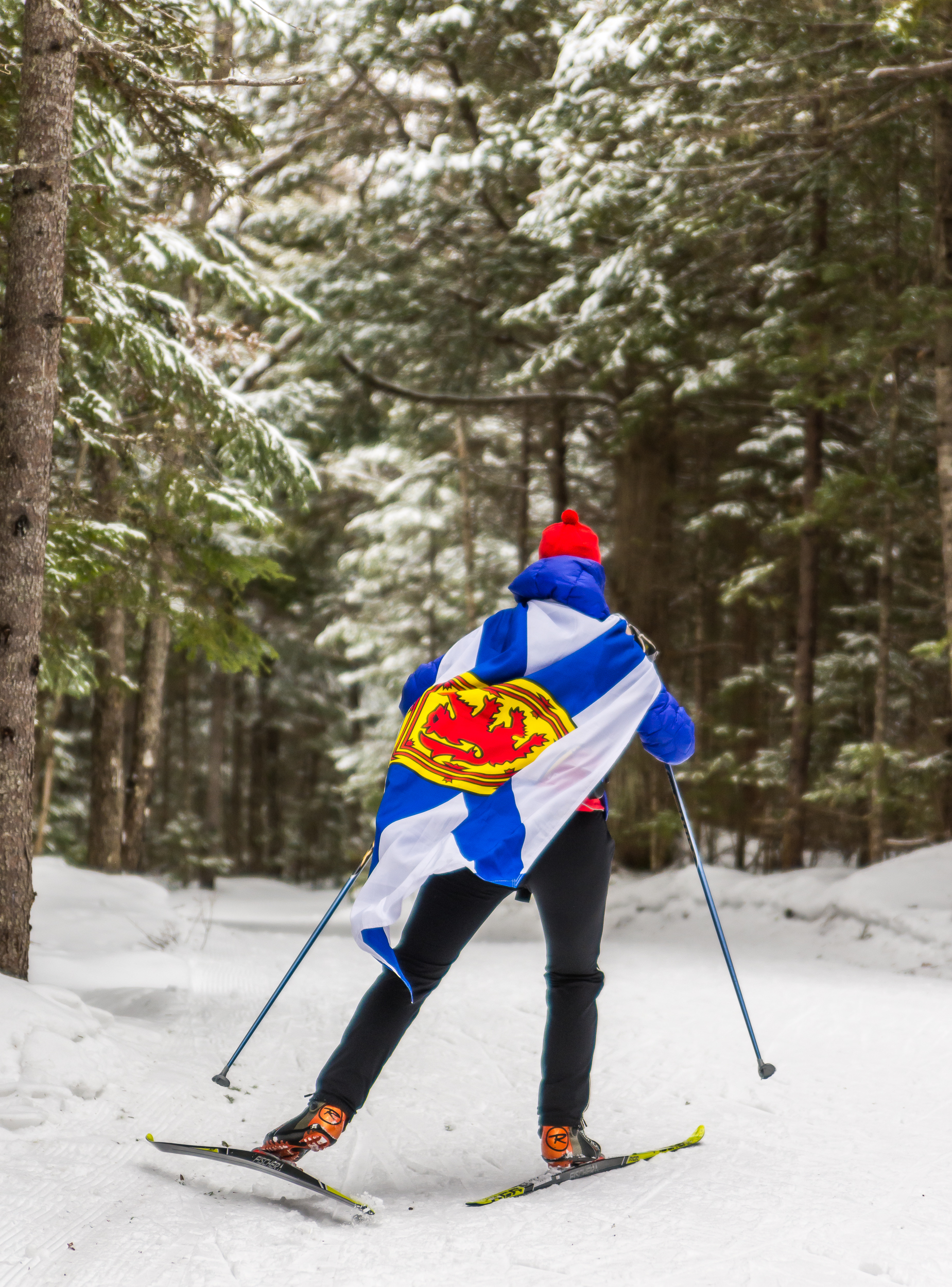 Nova Scotia Skier.jpg
