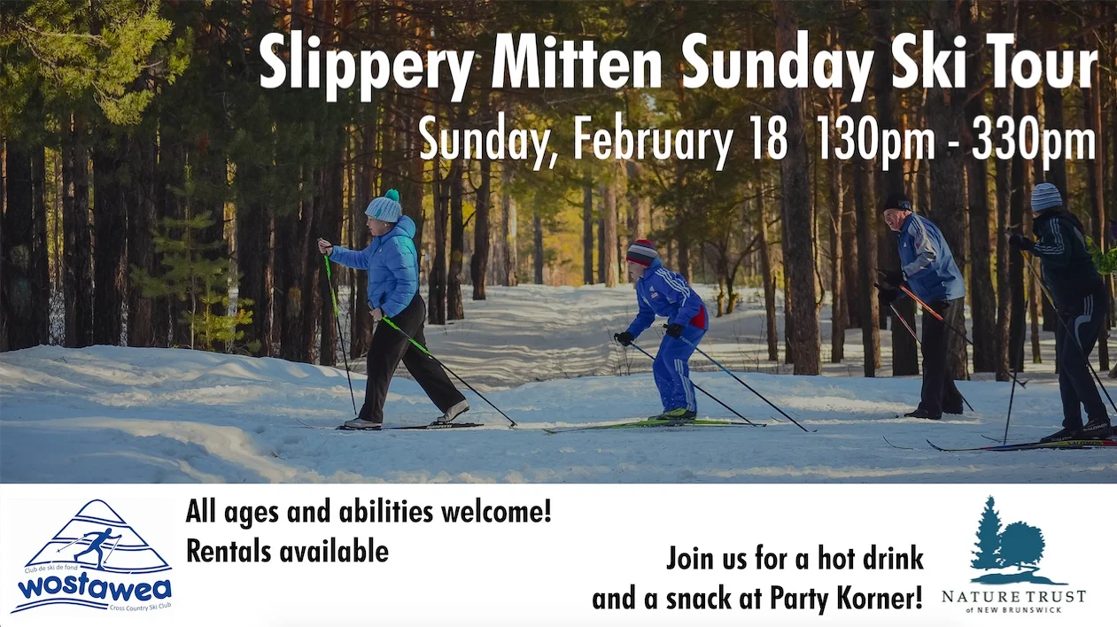 Slippery Mitten Sunday Ski Tour.jpg