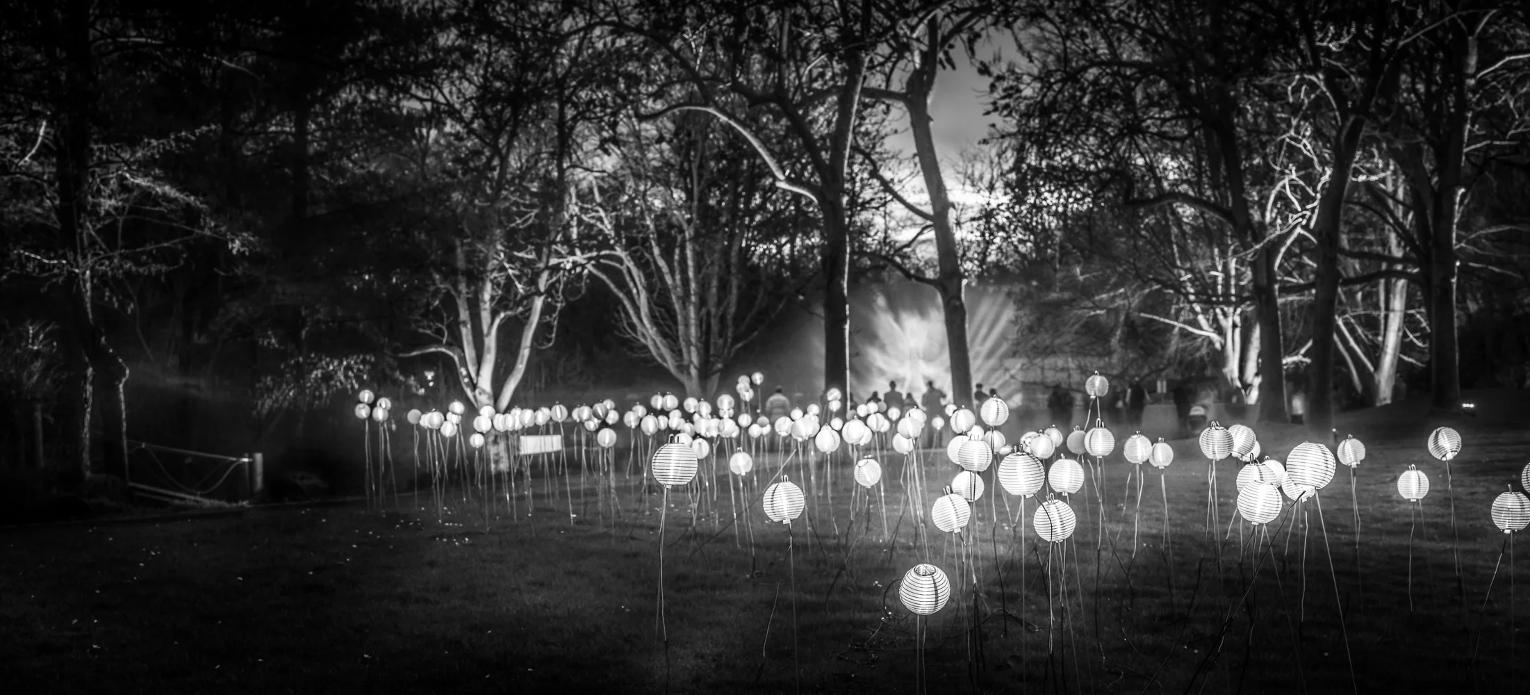 Mannheimer Lichtinstallation.jpg