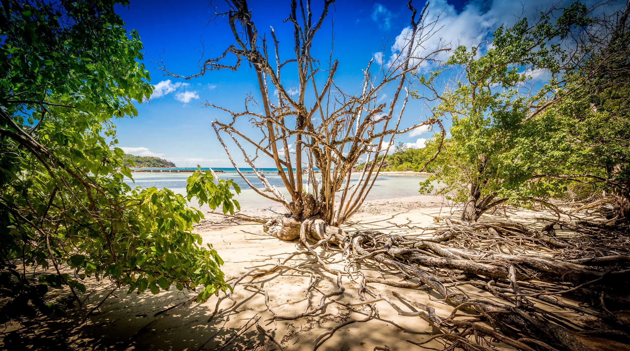 Seychelles-2.jpg